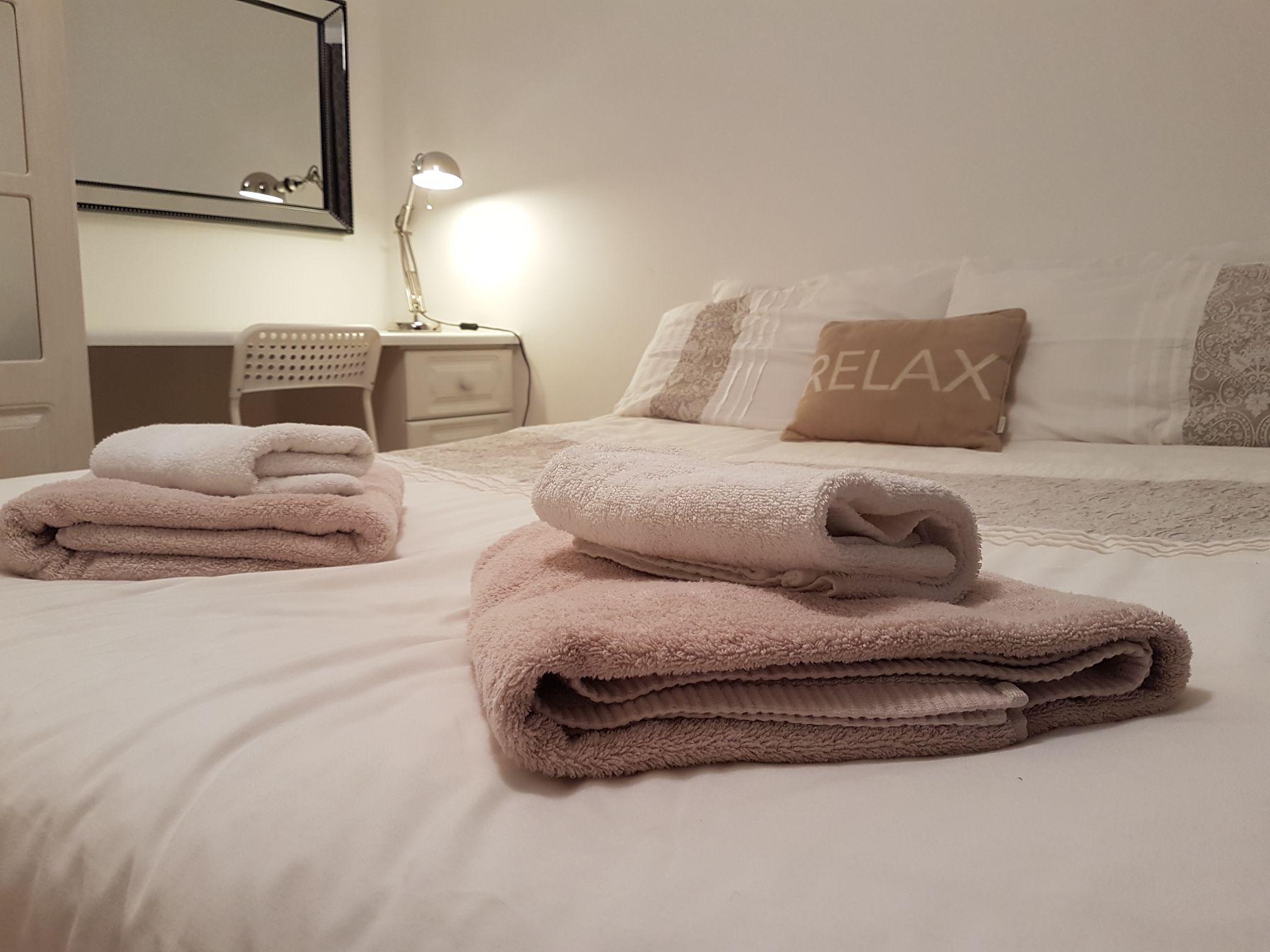 Spacious 2 bedroom apt near Trinity College (B)
