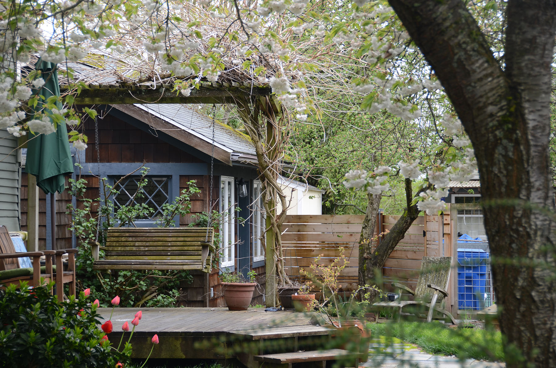 Cozy garden cottage in heart of the city!