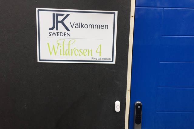 Wildrosen 4