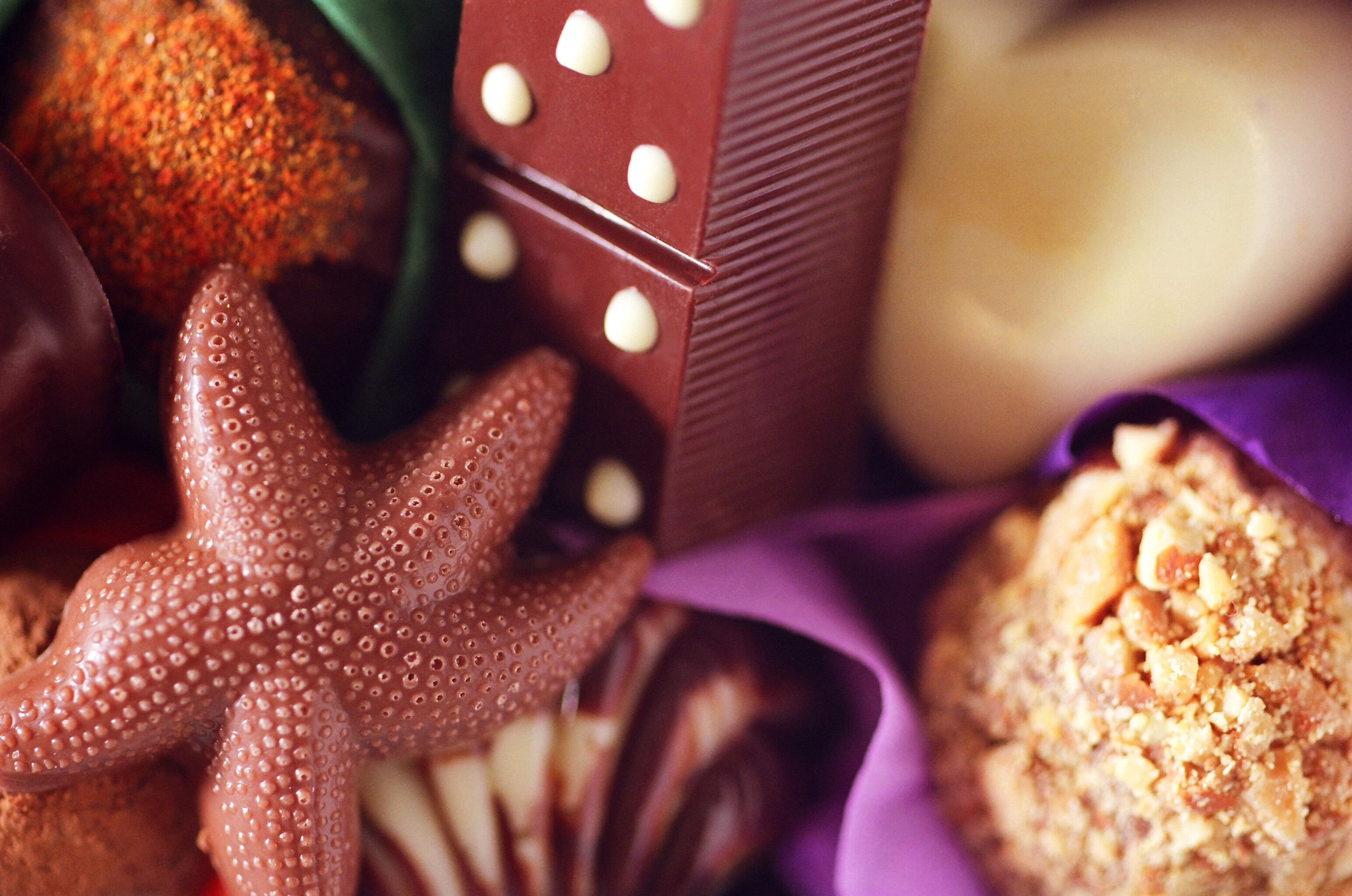 Chocolate Suite by Cocoa West