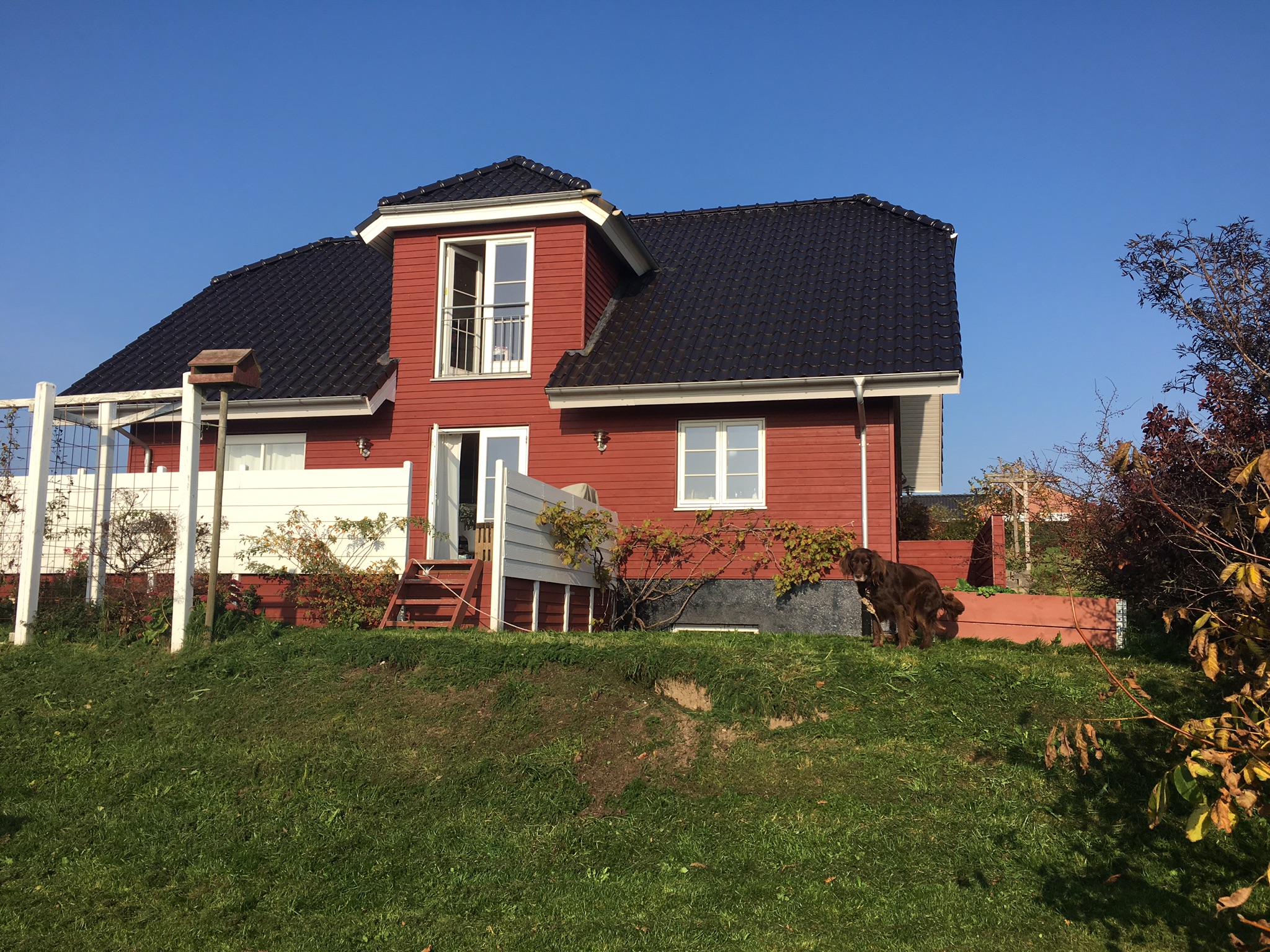 Charmerende hus med udsigt og natur - Huse til leje i Hammel, Danmark