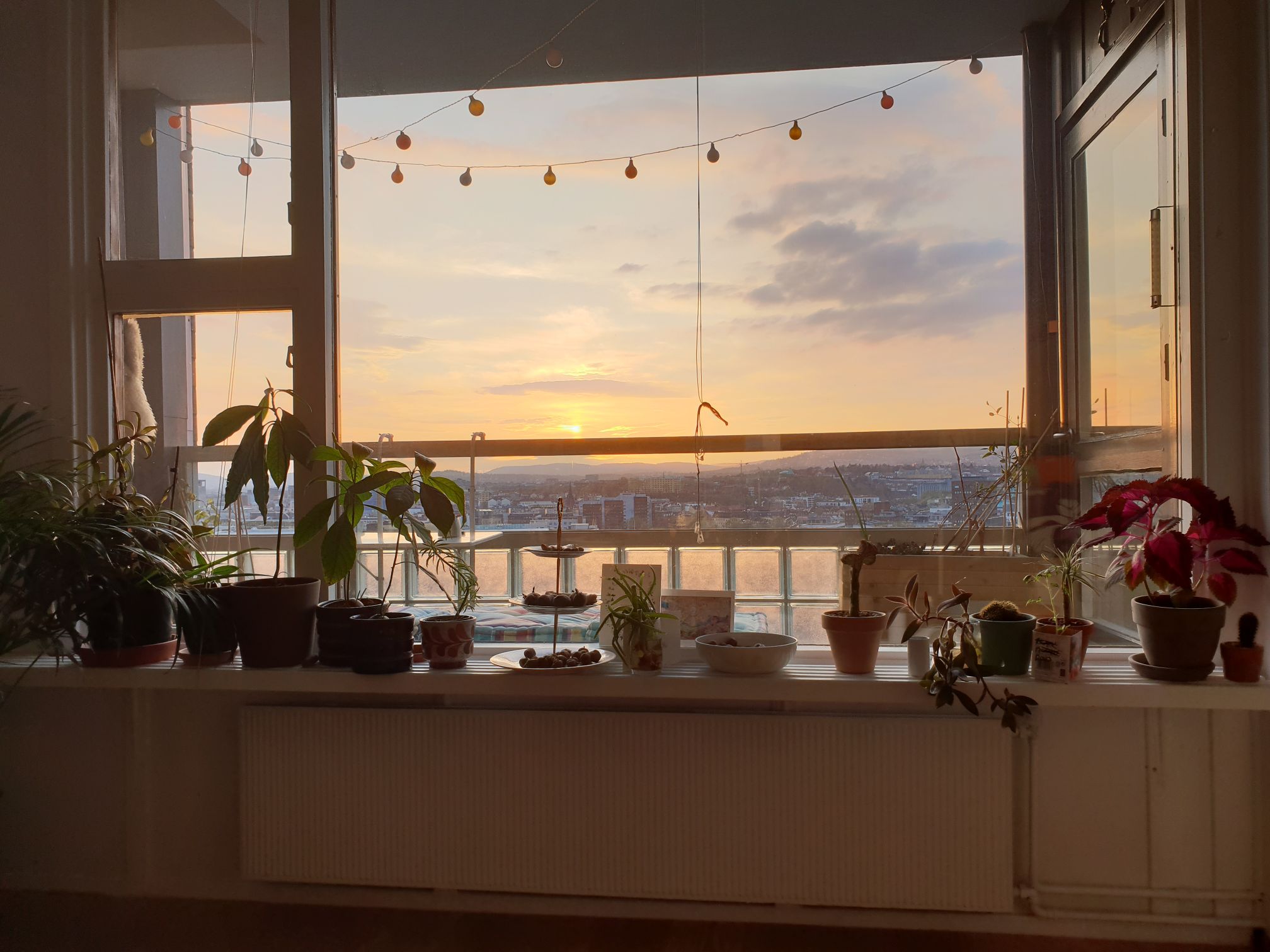 Green view in urban location Airbnb