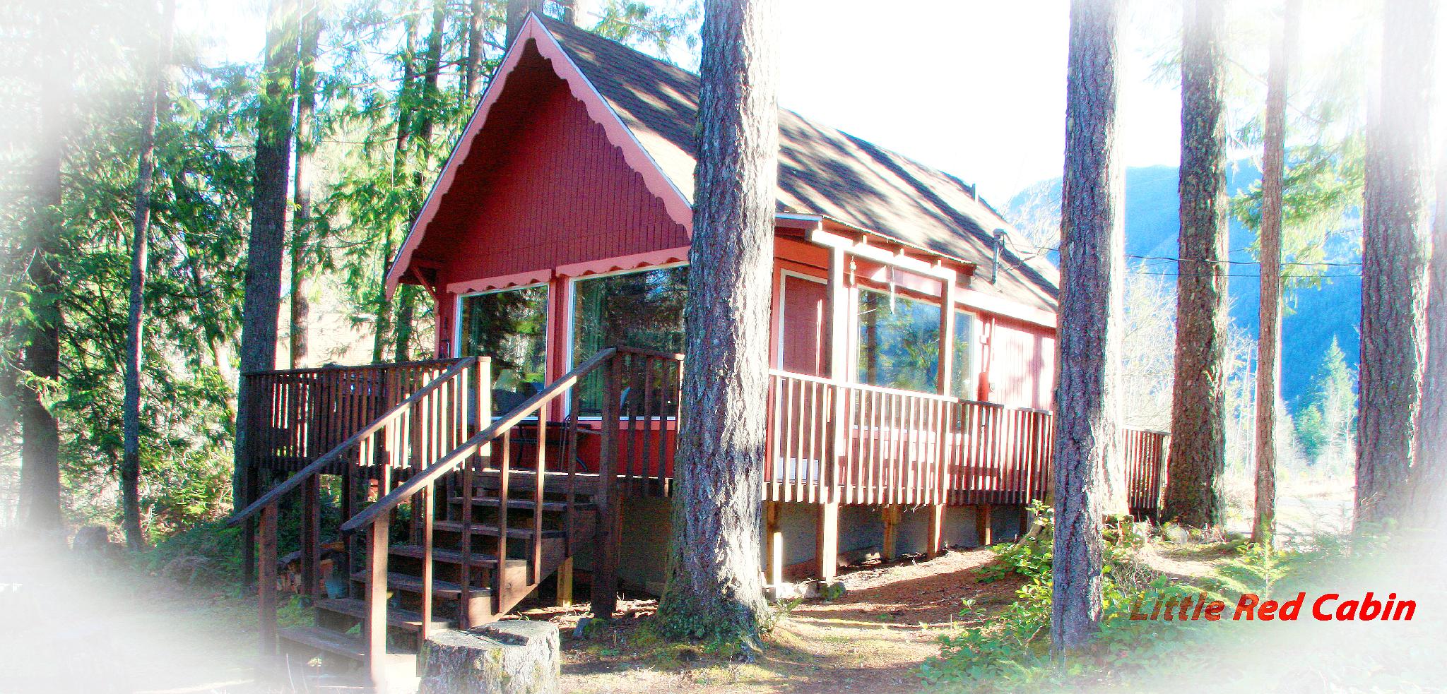 *Little Red Cabin* 5 miles to Mt. Rainier Entrance! Cabins for Rent
