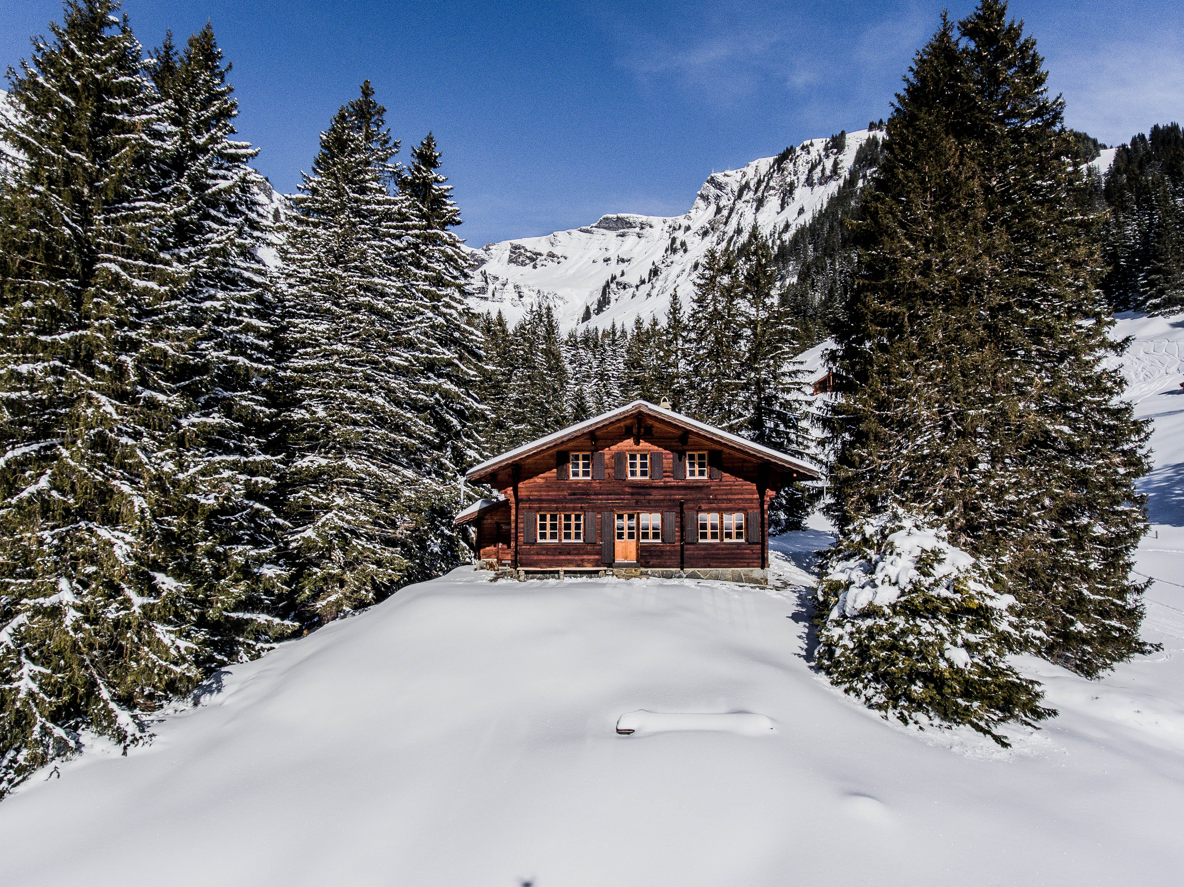 Chalet Lecocq mit Alphüttenfeeling - Häuser zur Miete in Grindelwald, Bern,  Schweiz