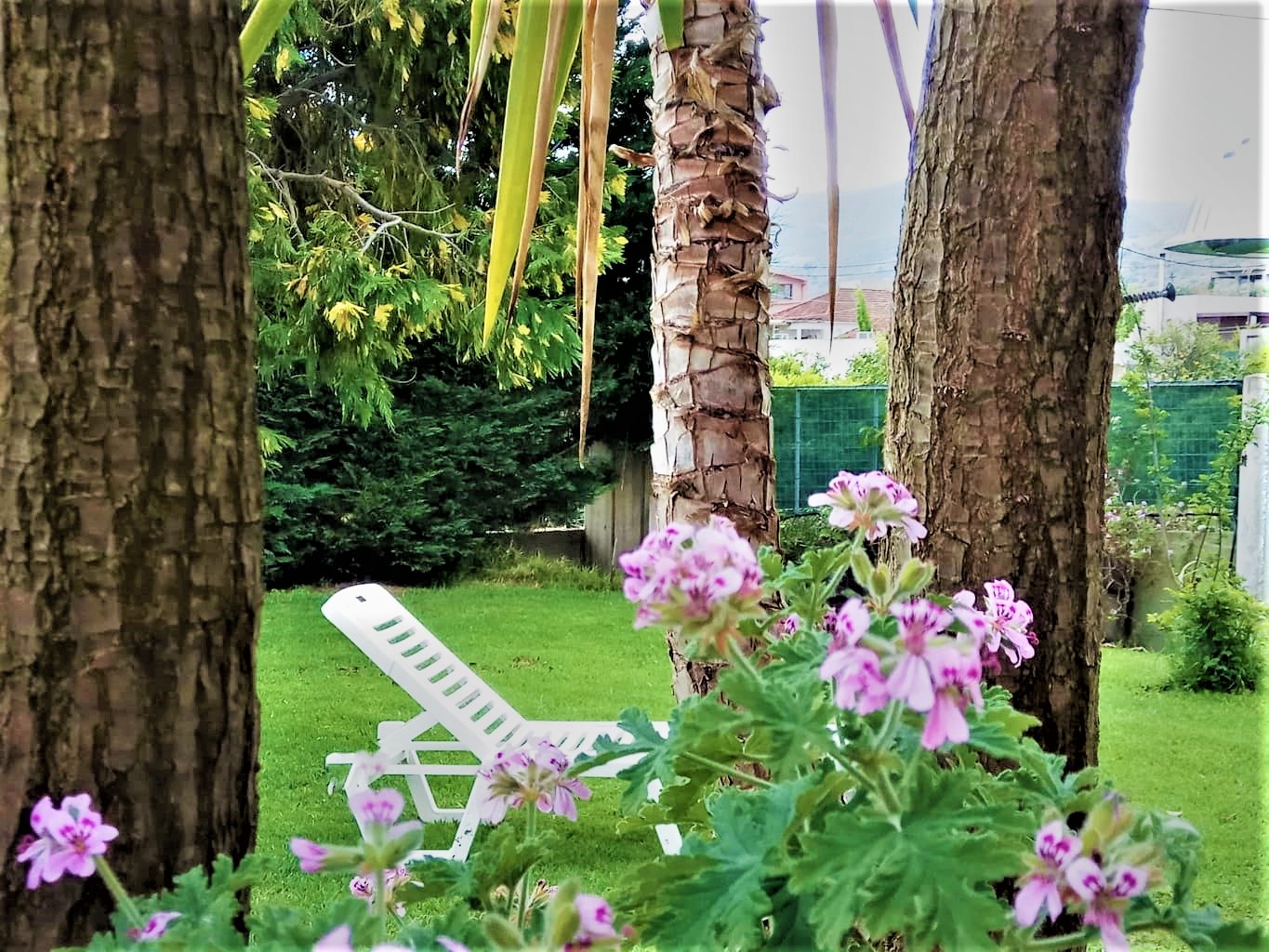 Amazing garden view - 10min from center and sea