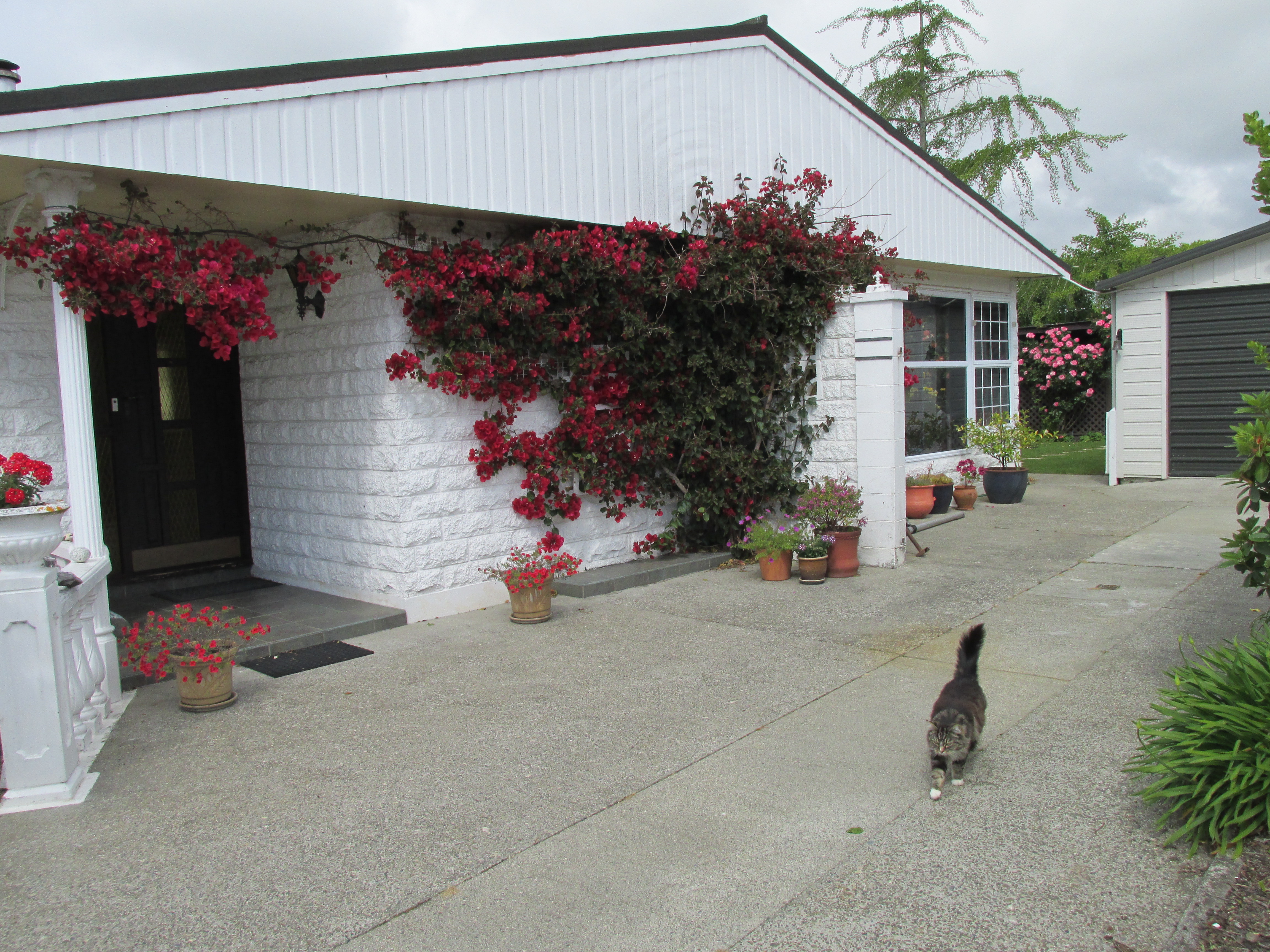 Warm, secure and peaceful accommodation