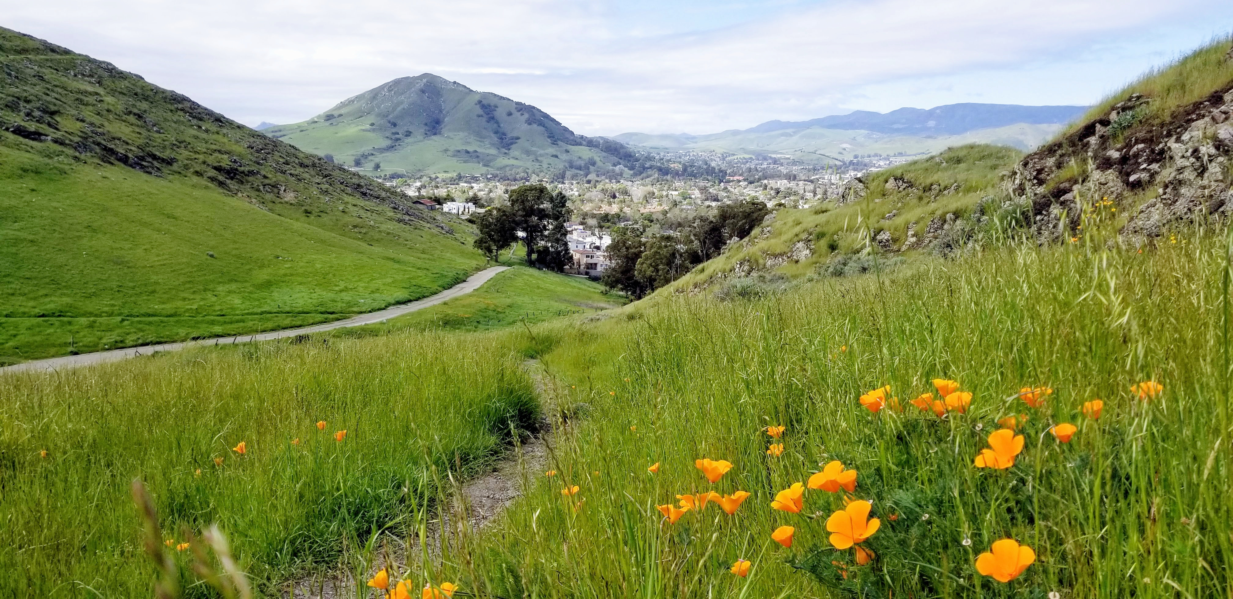 Bluerock Retreat-Outdoor livng 1.5 mi. to dtwn SLO