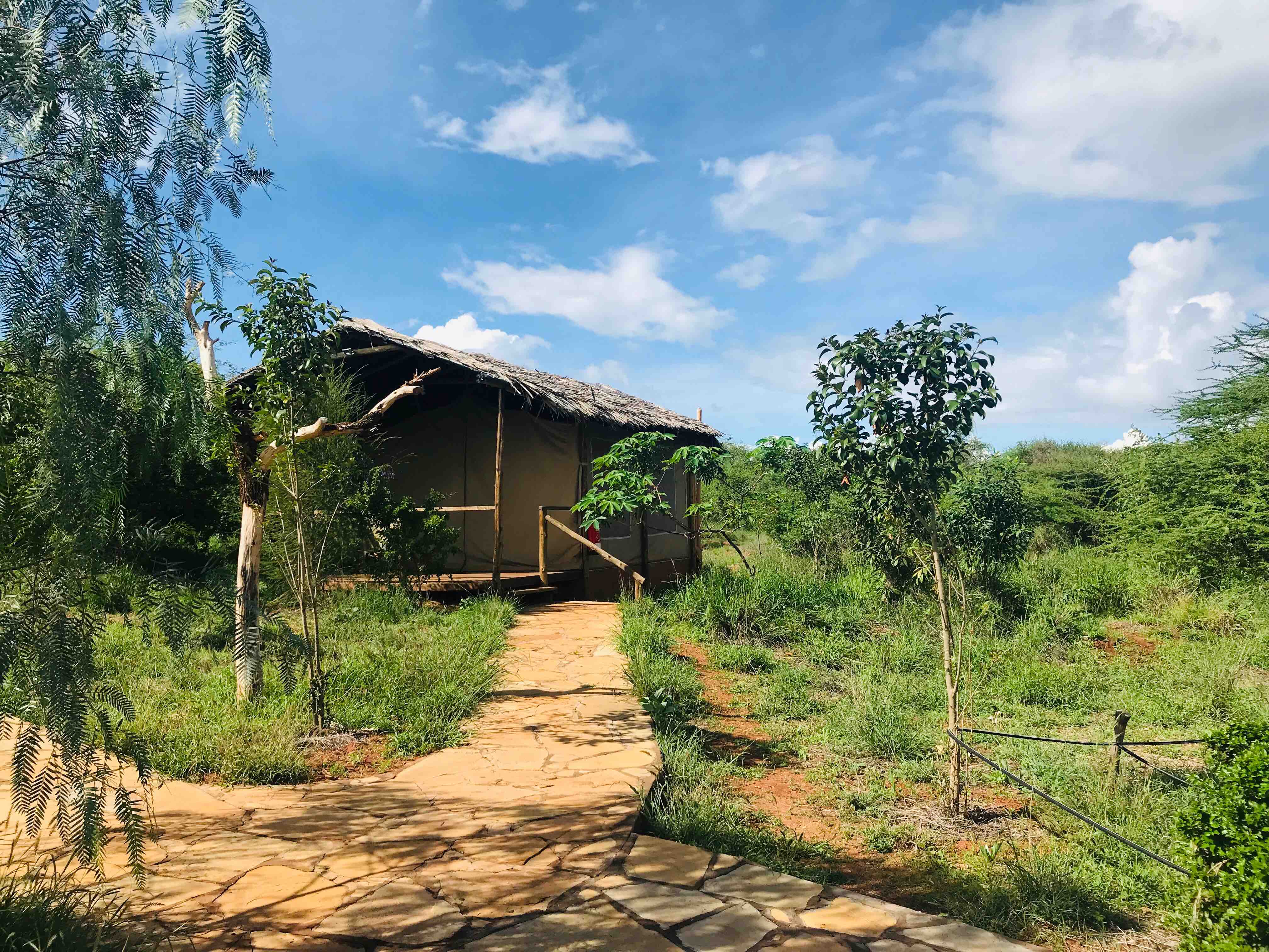 Nature lovers paradise,Oldonyo Orok ecotented camp Tents for Rent in