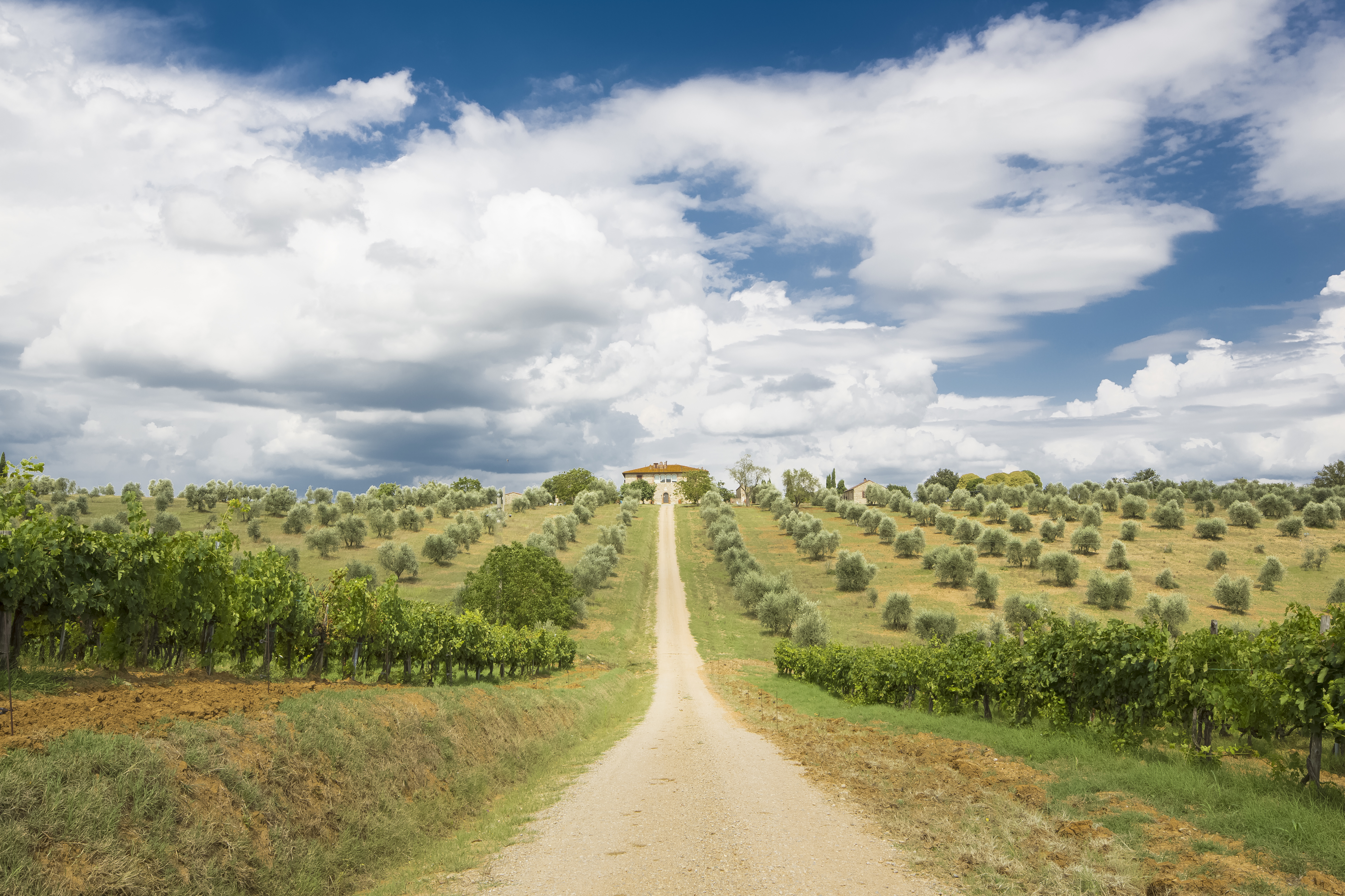 Your ideal holidays in Tuscany, near Siena!