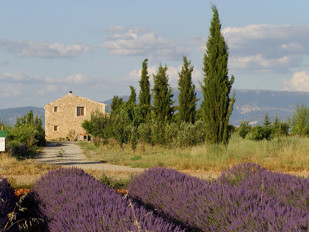 stone house in lavender