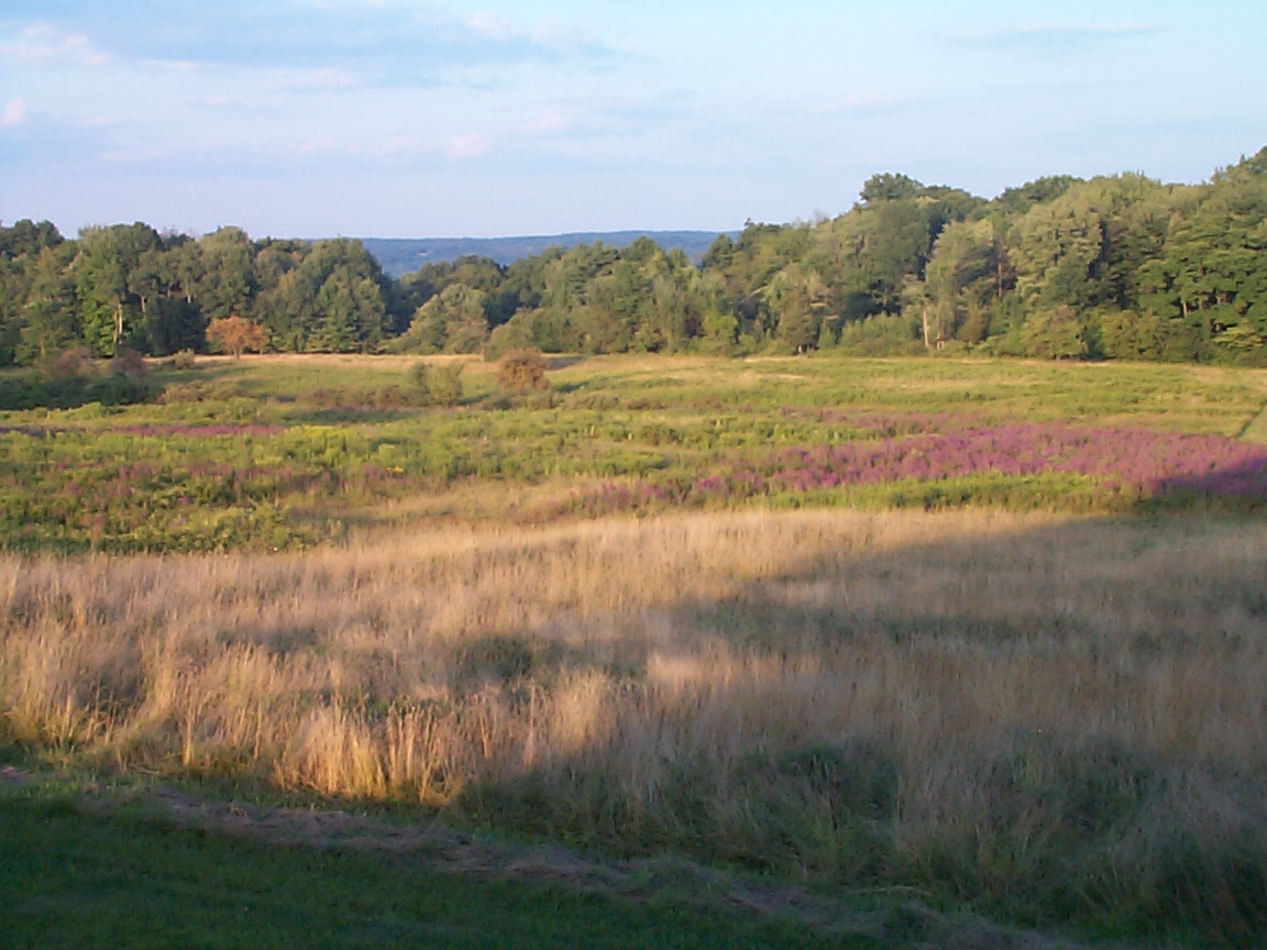 Lovely country house; stunning view Farm stays for Rent in Ulster