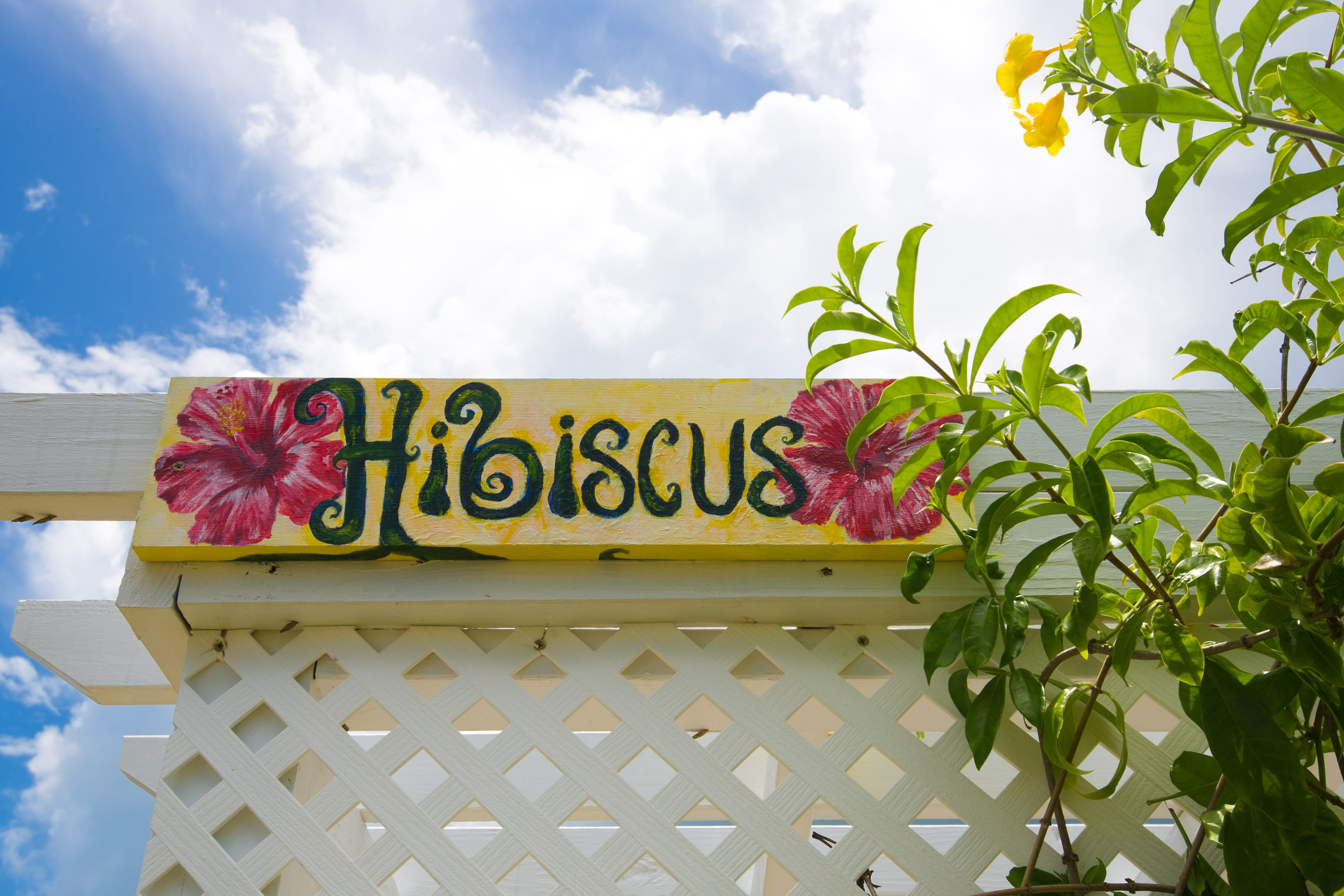 Beautiful Hibiscus House Houses for Rent in Governor's Harbour