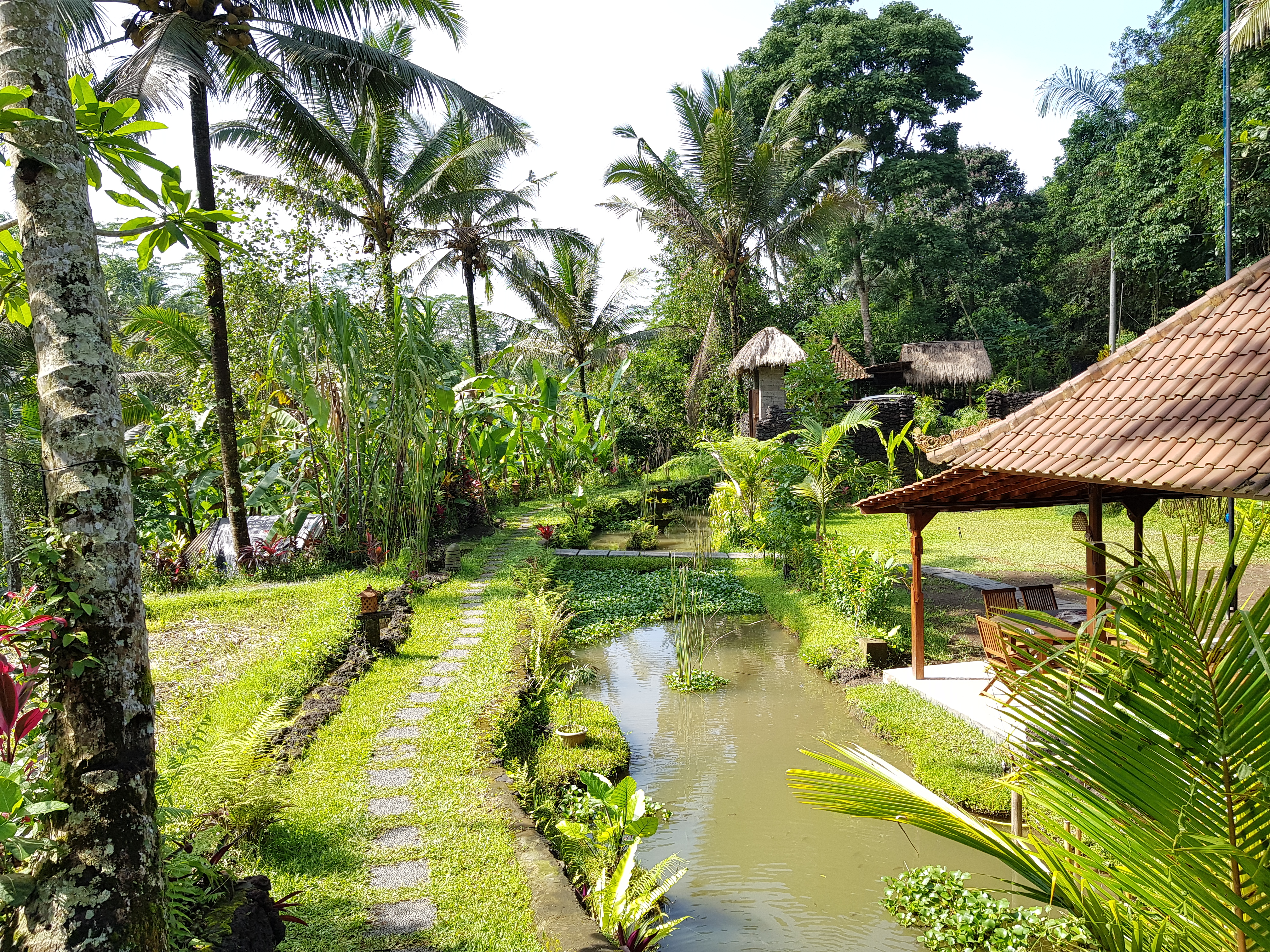5 Charming nature Song Broek Classic - Nature lodges for Rent in Payangan,  Bali, Indonesia