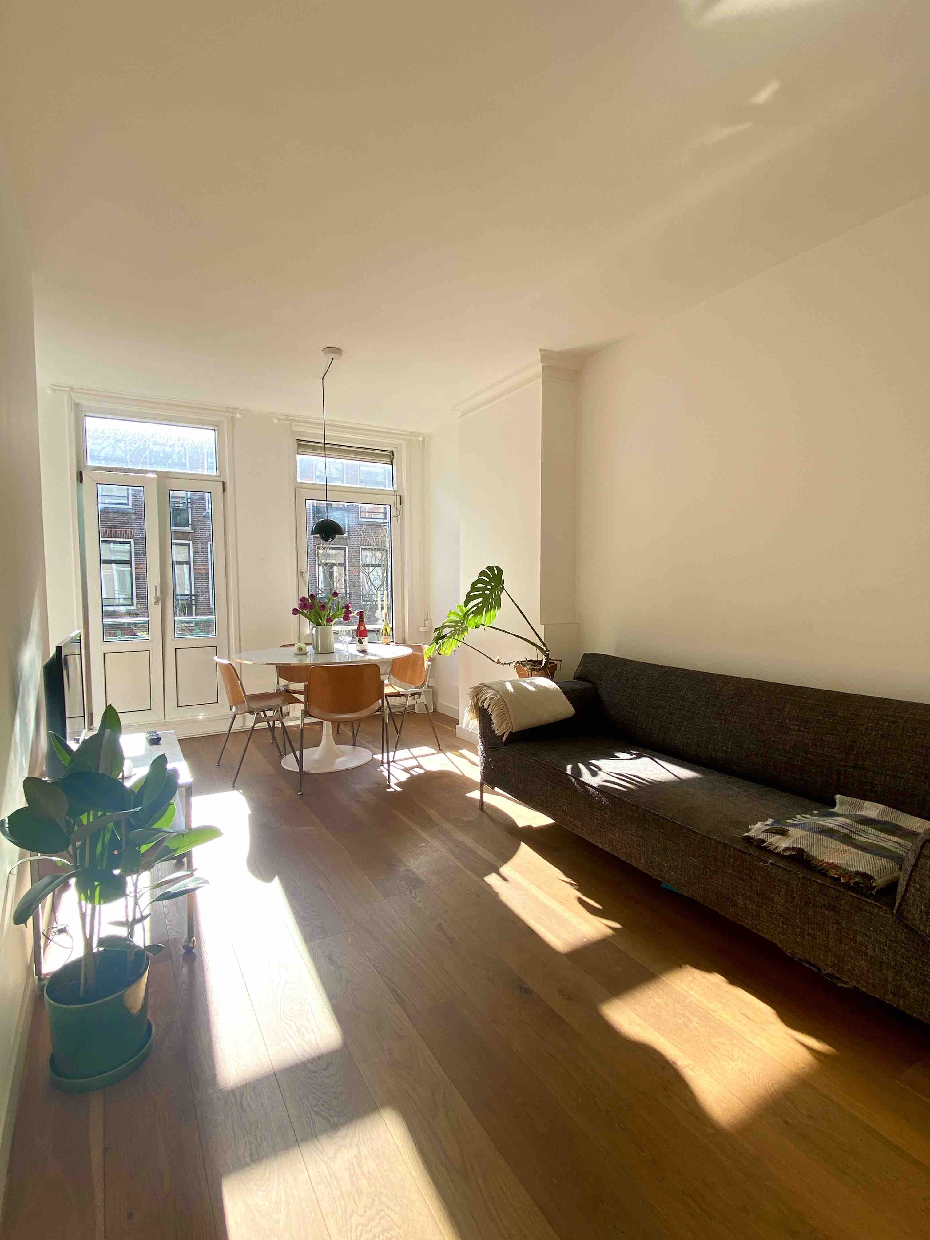 Writer’s apartment in central area - with cute cat — Amsterdam stay