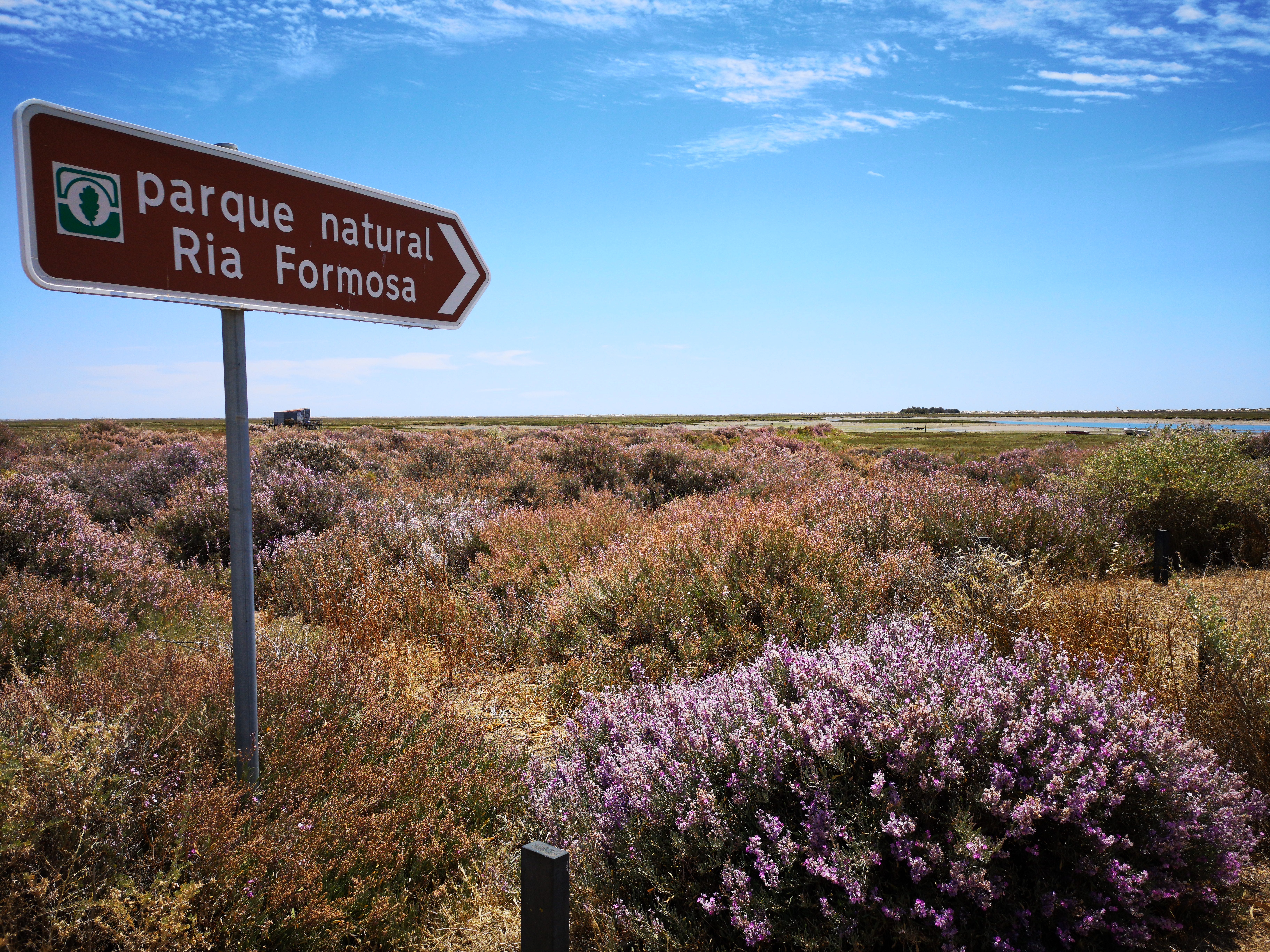 Casa do Pinheiro - Parque Natural da Ria Formosa.