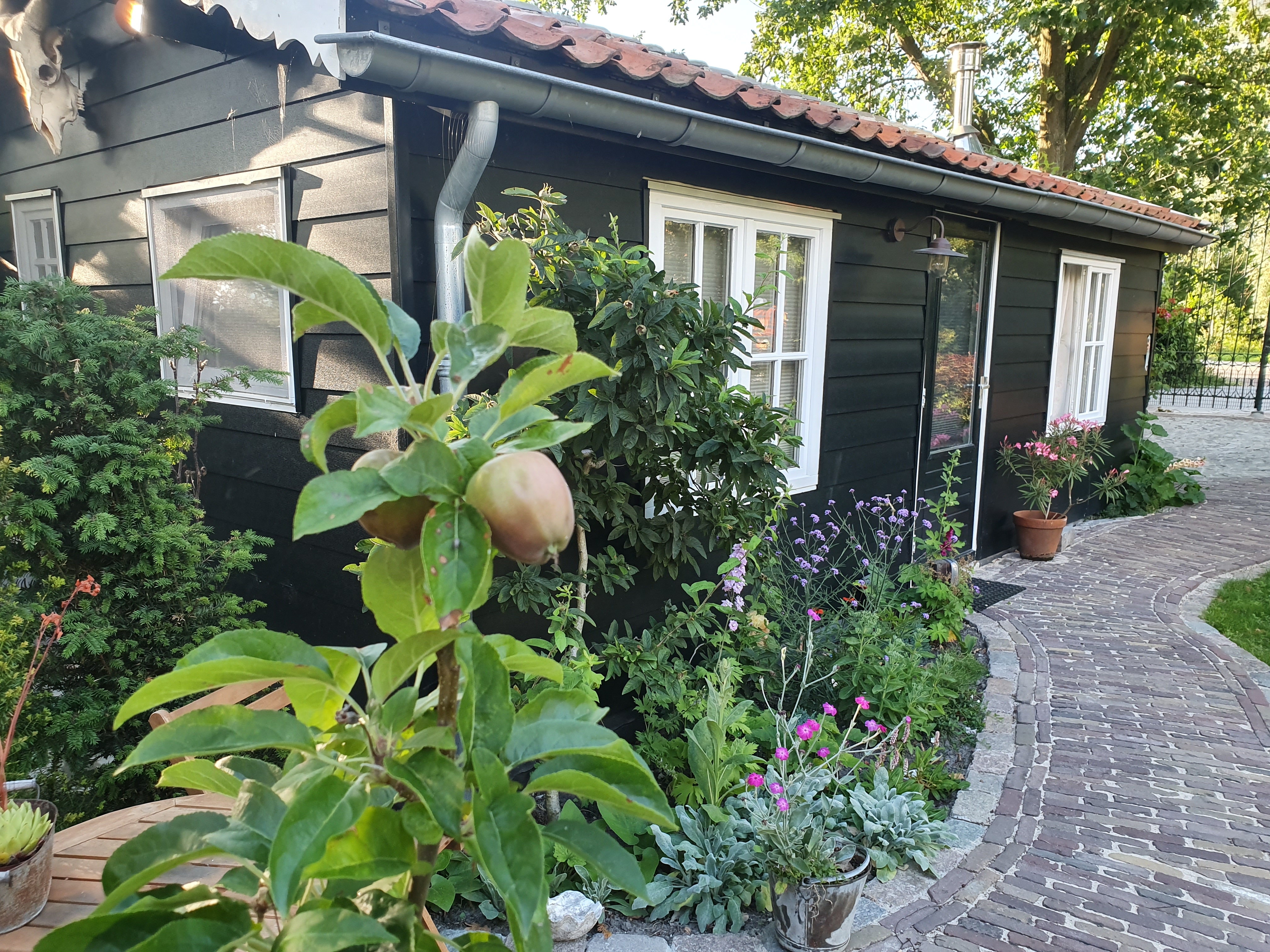 Cottage in secluded garden near centre Rotterdam — Rotterdam stay