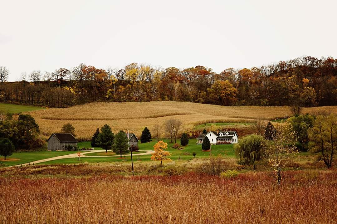 Tamarack Point Homestead