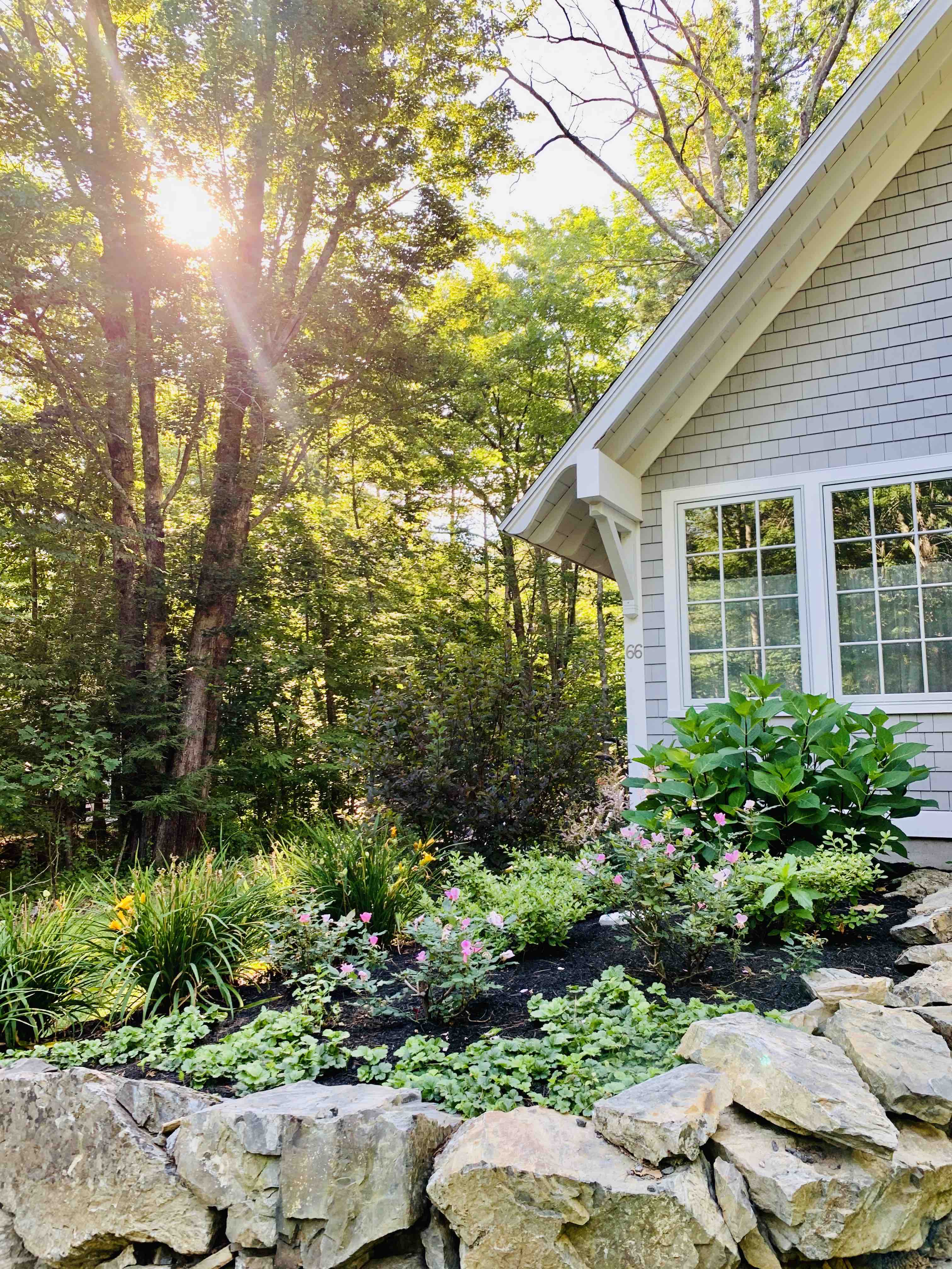 The Little Cottage Under the Trees & By the Sea Cottages for Rent