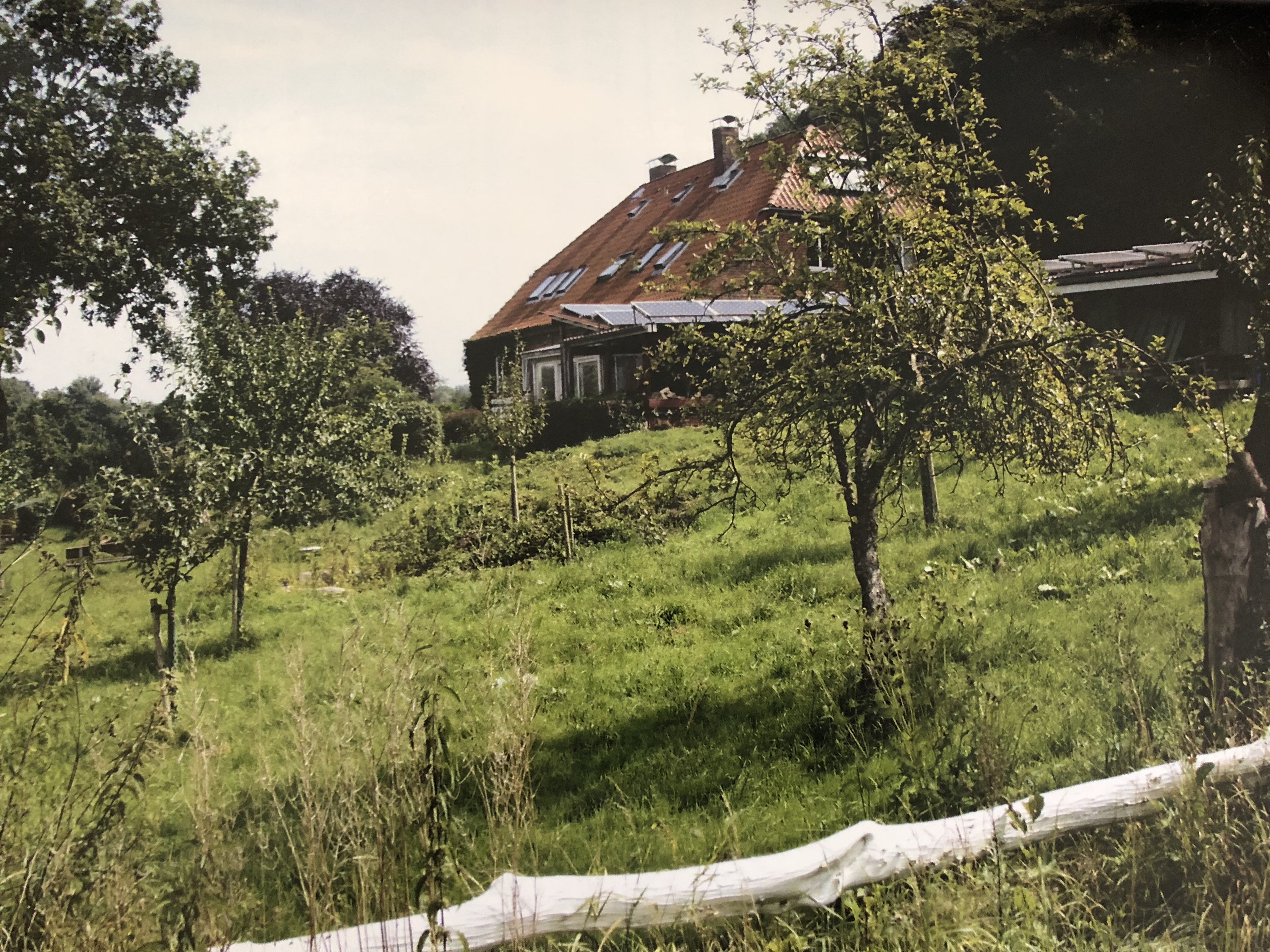 Pure nature near the Baltic Sea
