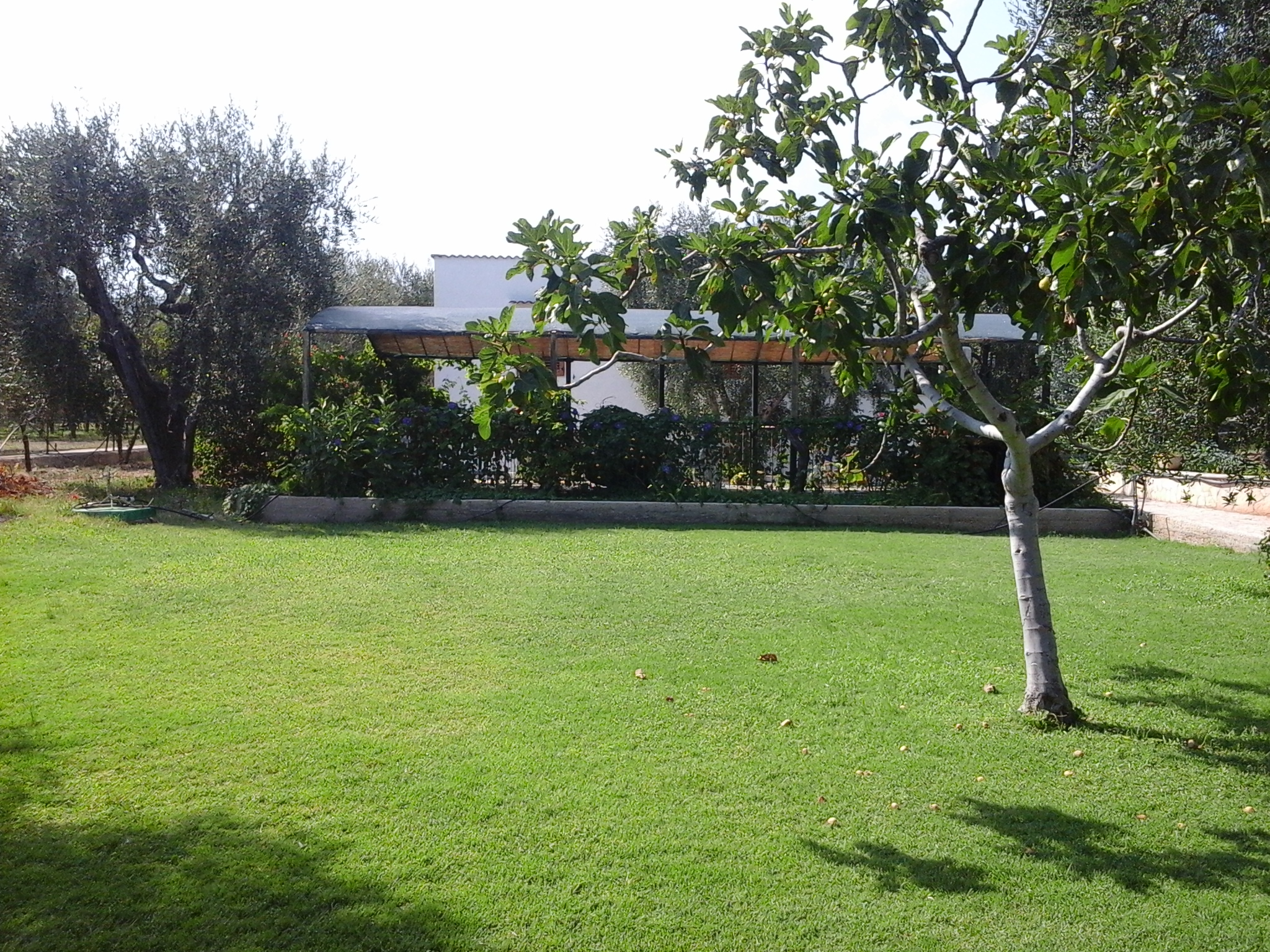 Villa  100 metres from the sea.