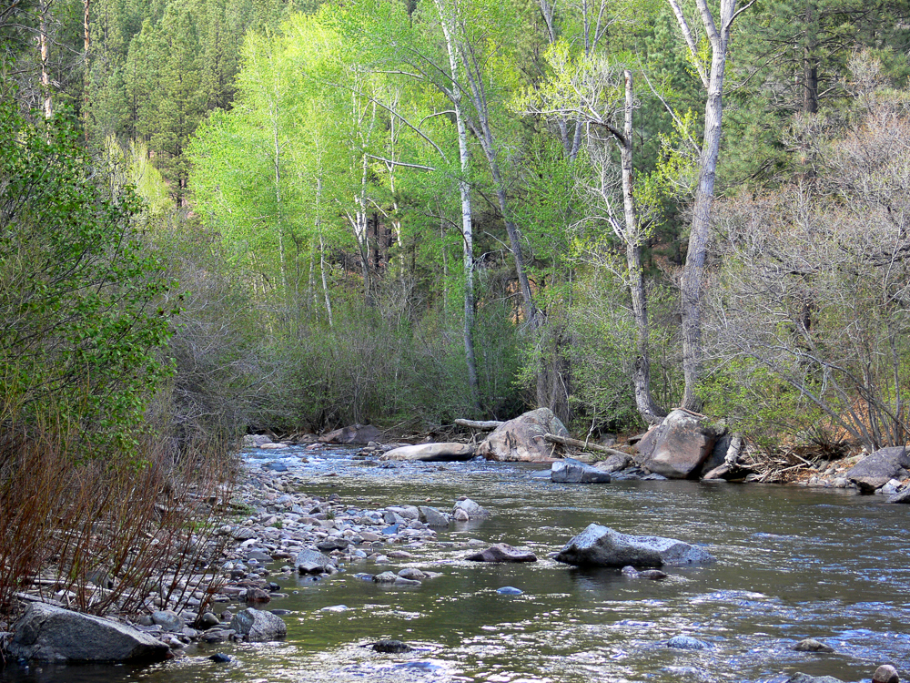 Pecos River Cabin Cabins for Rent in Pecos, New Mexico, United States