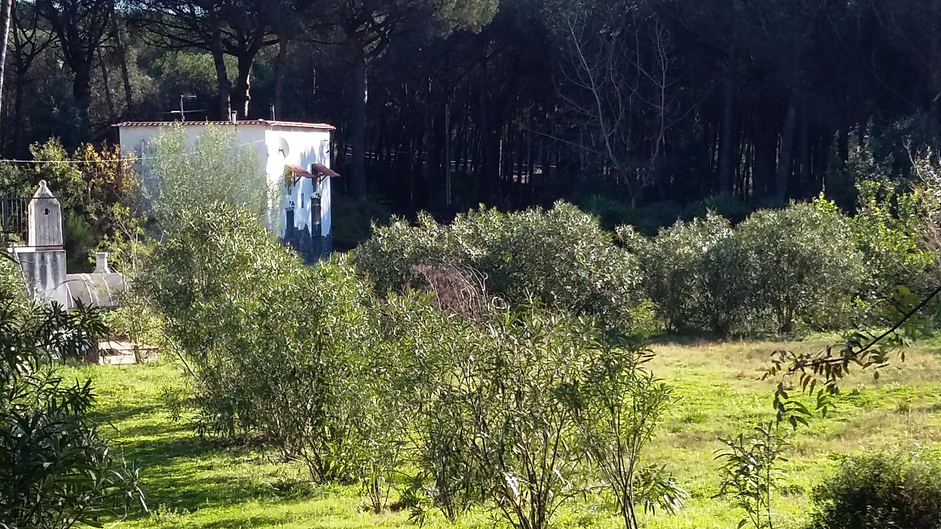 La Casa nel Bosco