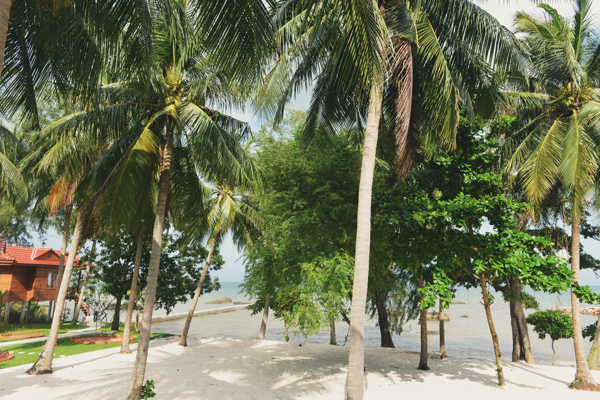 Cay Sao Beach Bungalow with Garden View