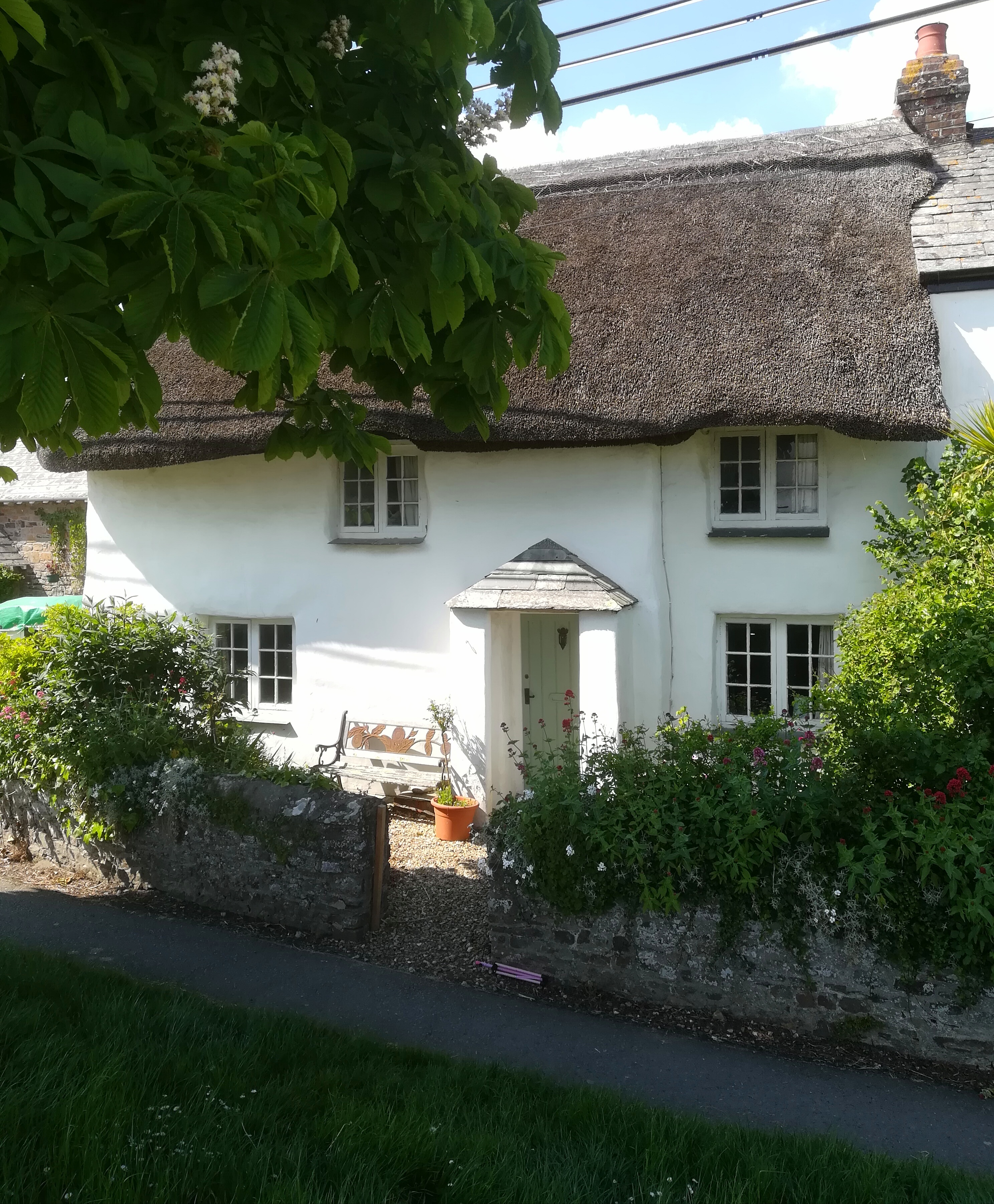 Elm Tree Cottage Cottages For Rent In Marhamchurch England United Kingdom