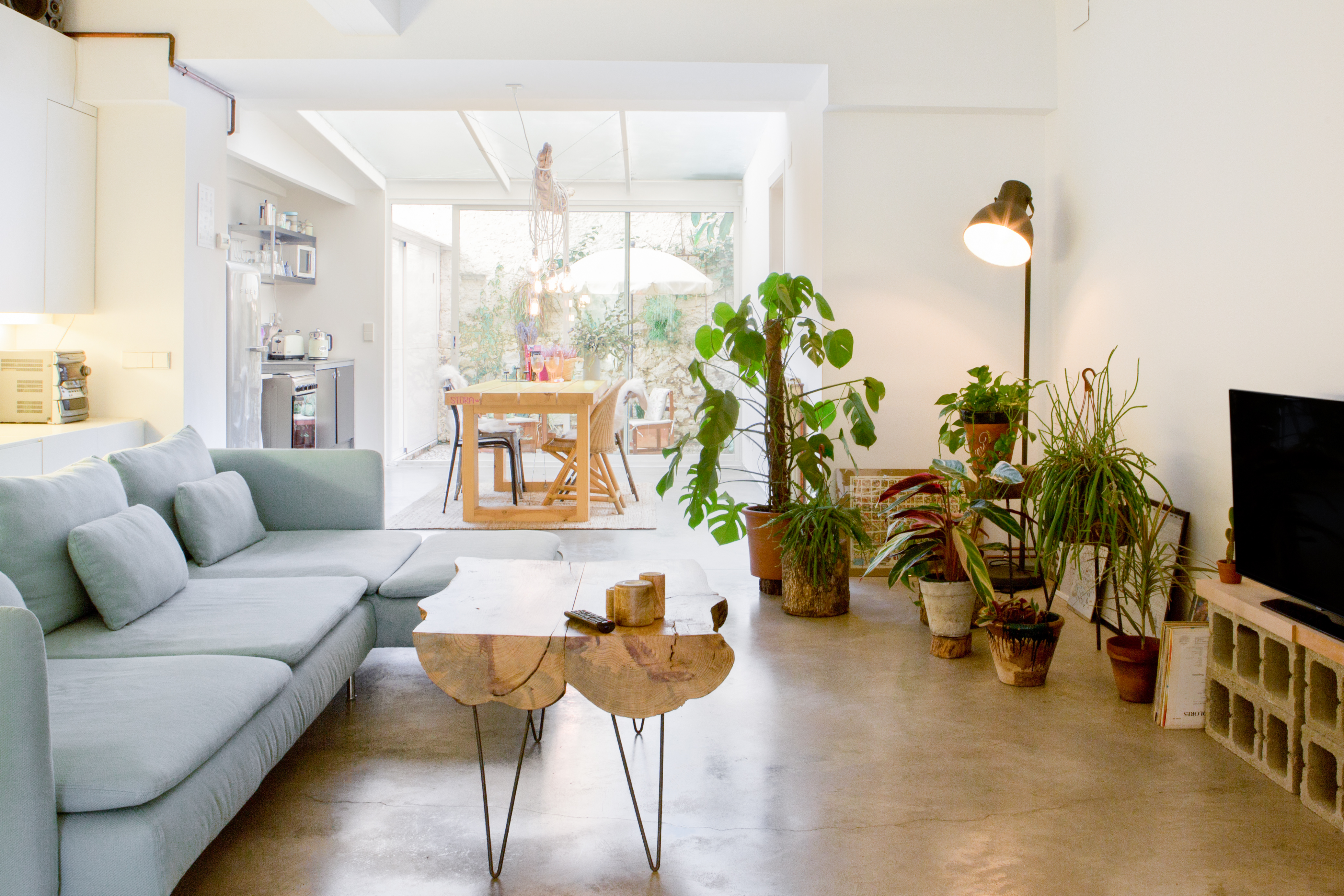 Bohemian Dreams at a Plant-filled Design Loft near the Beach