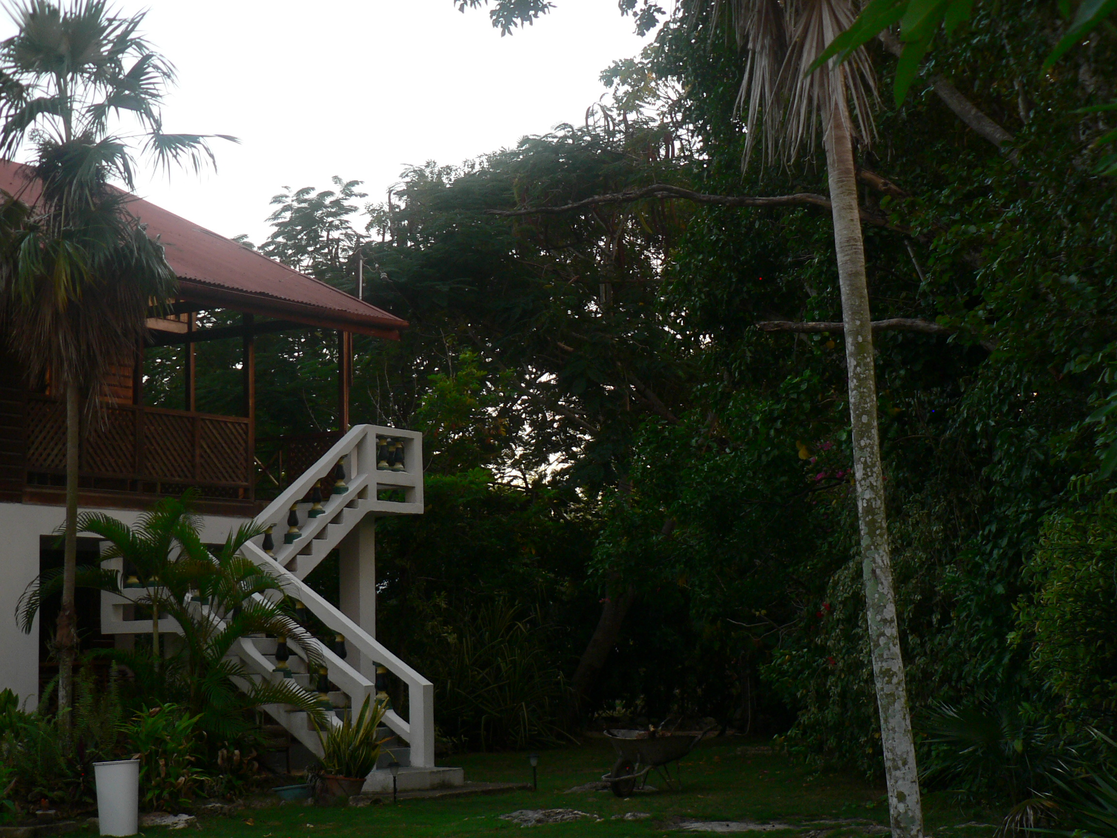 The Big House at Truestay Jamaica