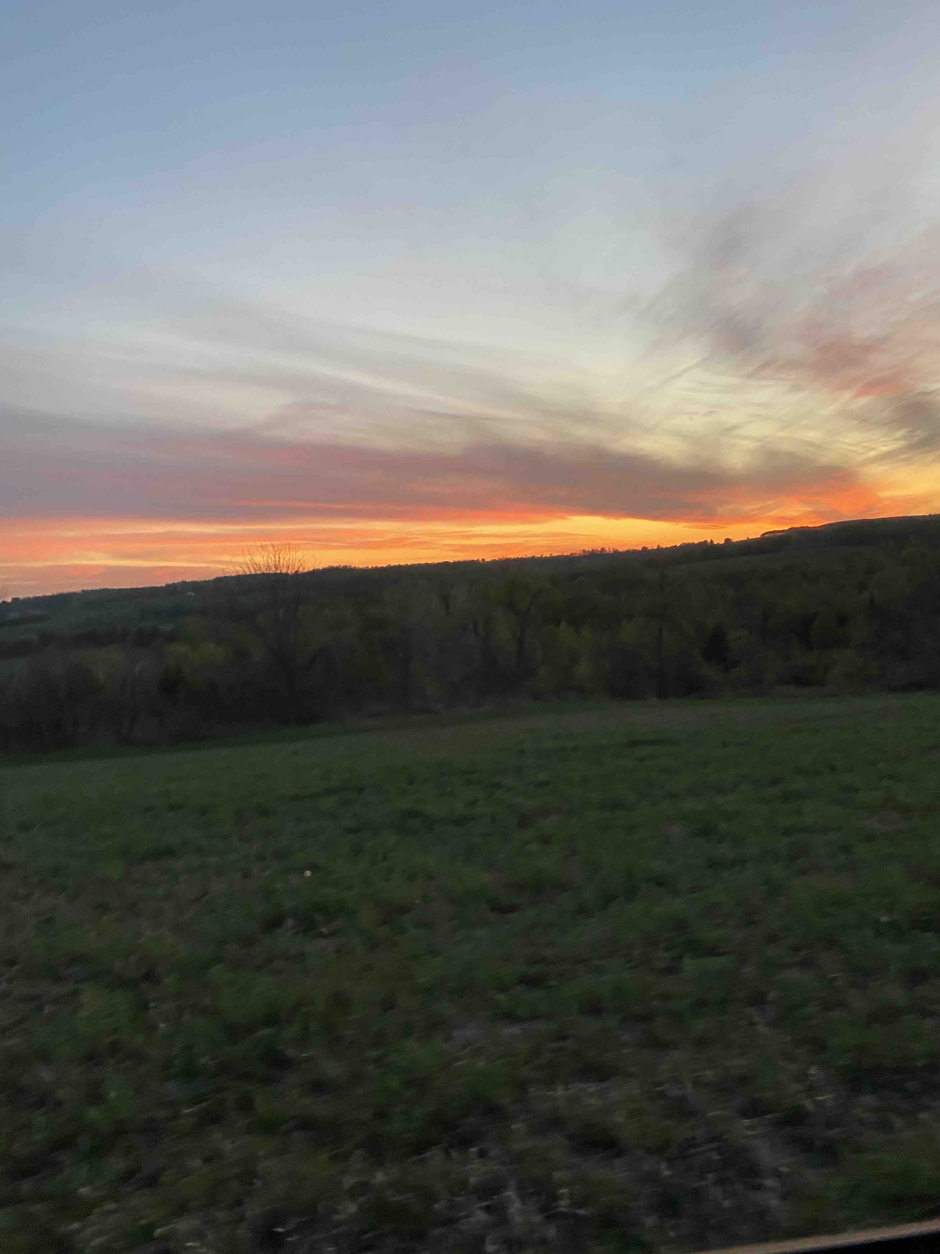 Campsite/private natural forested landscape Campsites for Rent in