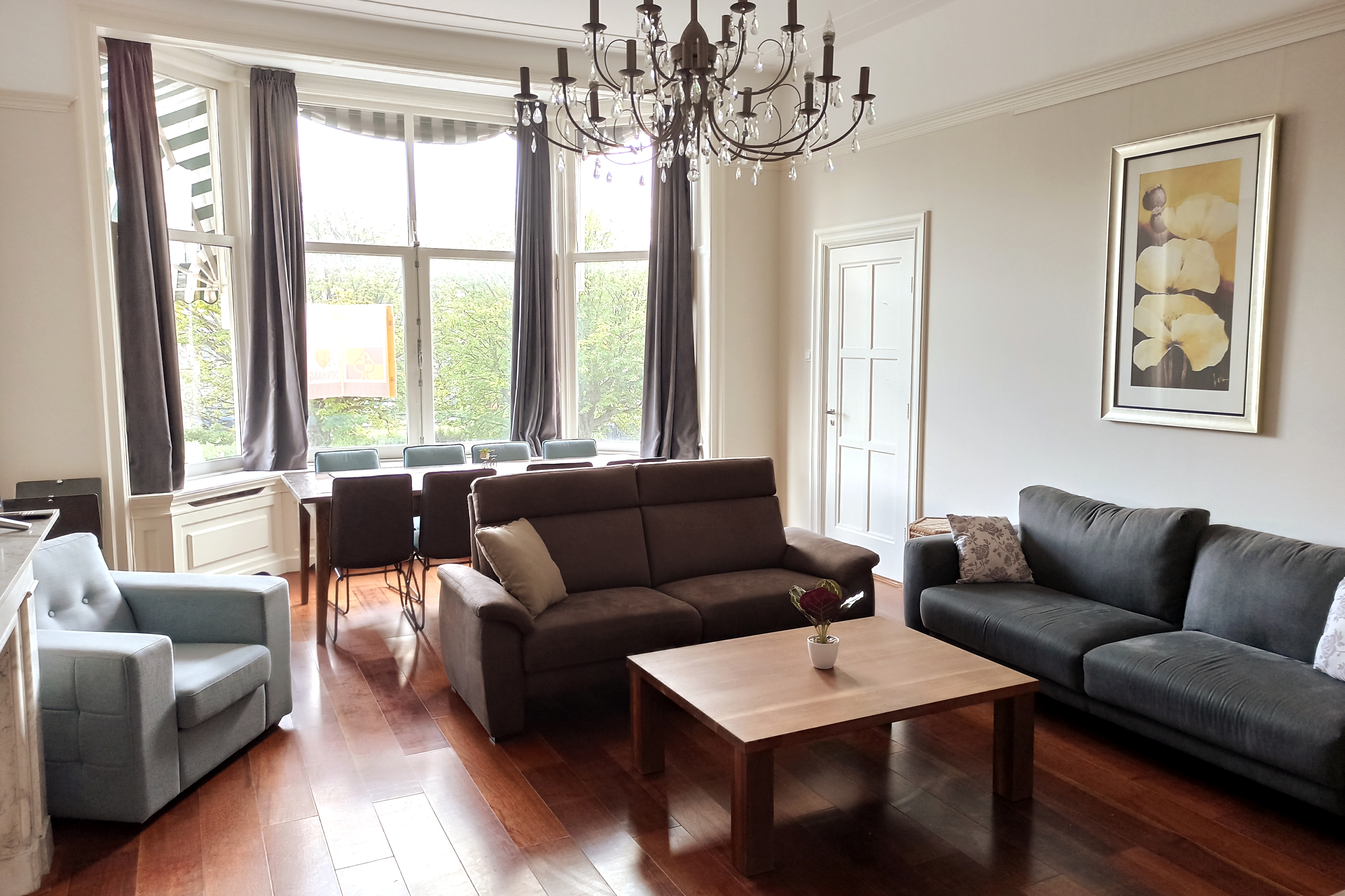 ***** Big Luxurious Mansion apartment — The Hague stay