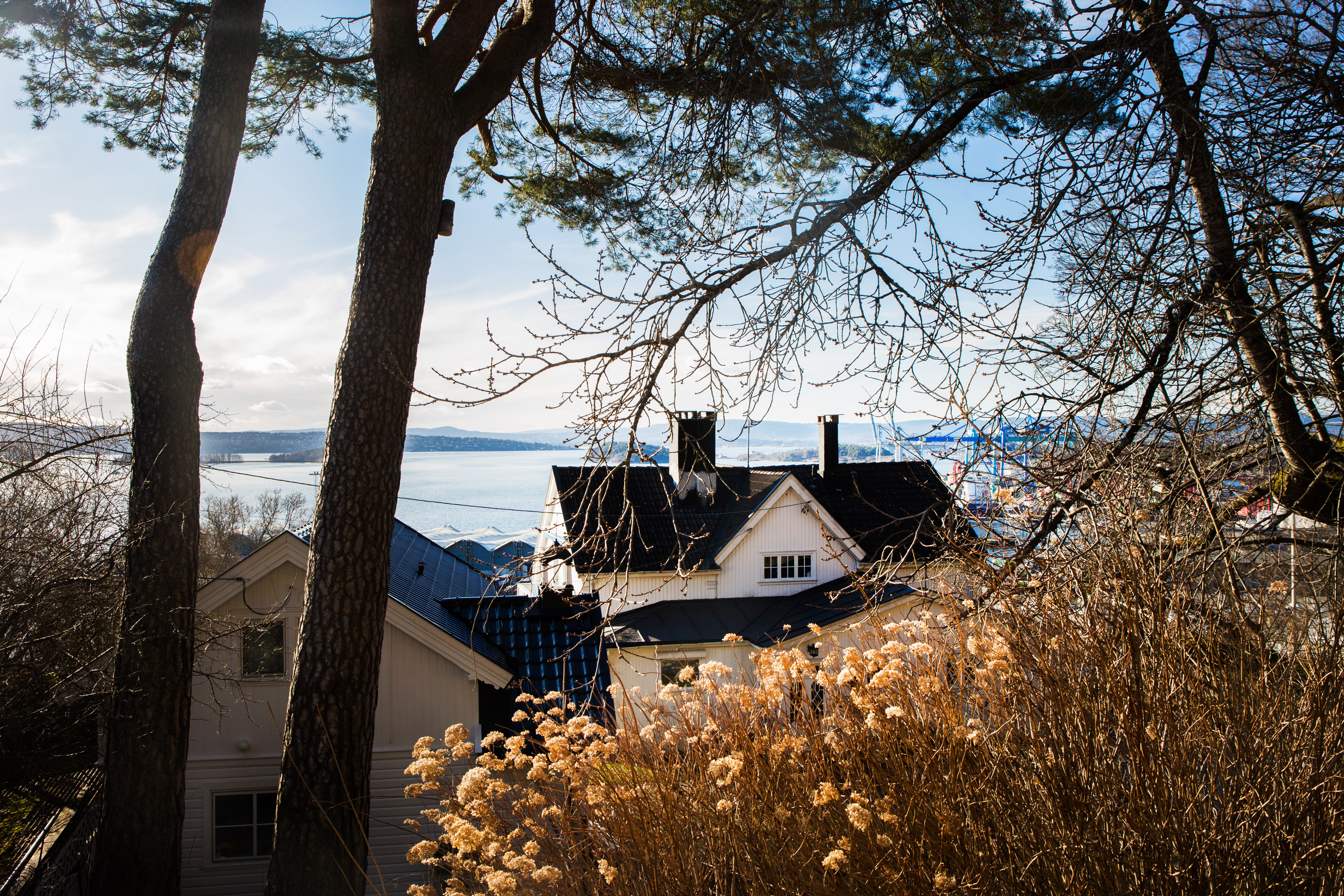 10 min to Oslo Central Station, Garden Fjord view in Nordstrand, Oslo