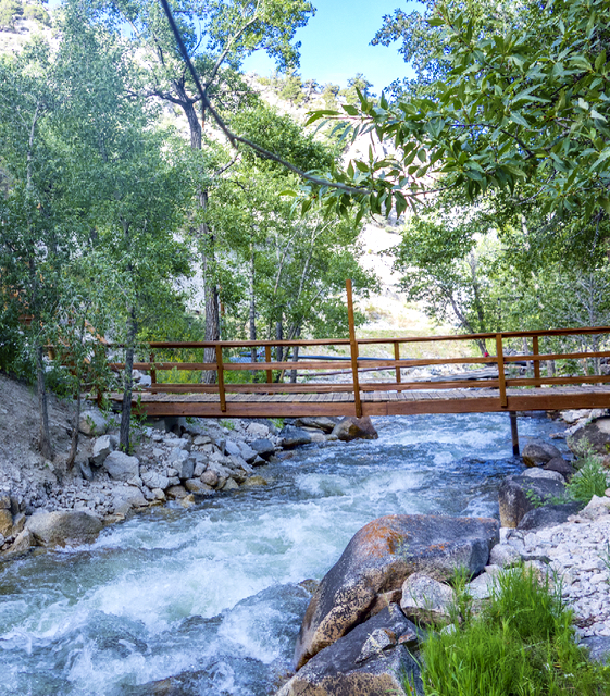 Holloway Cabin on Creek & Private HotSprings Cabins for Rent in Buena Vista, Colorado, United