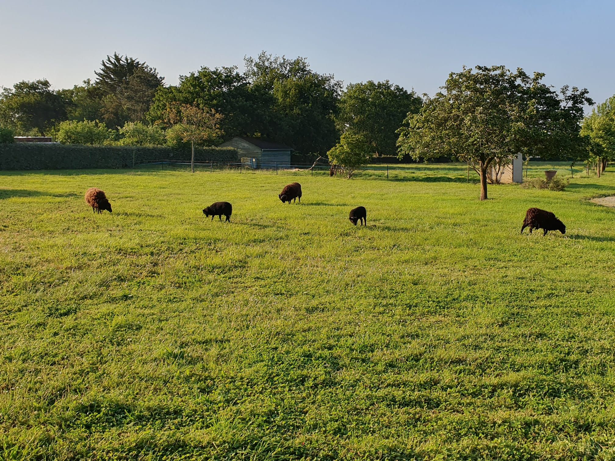 The countryside 5 minutes from the ocean.