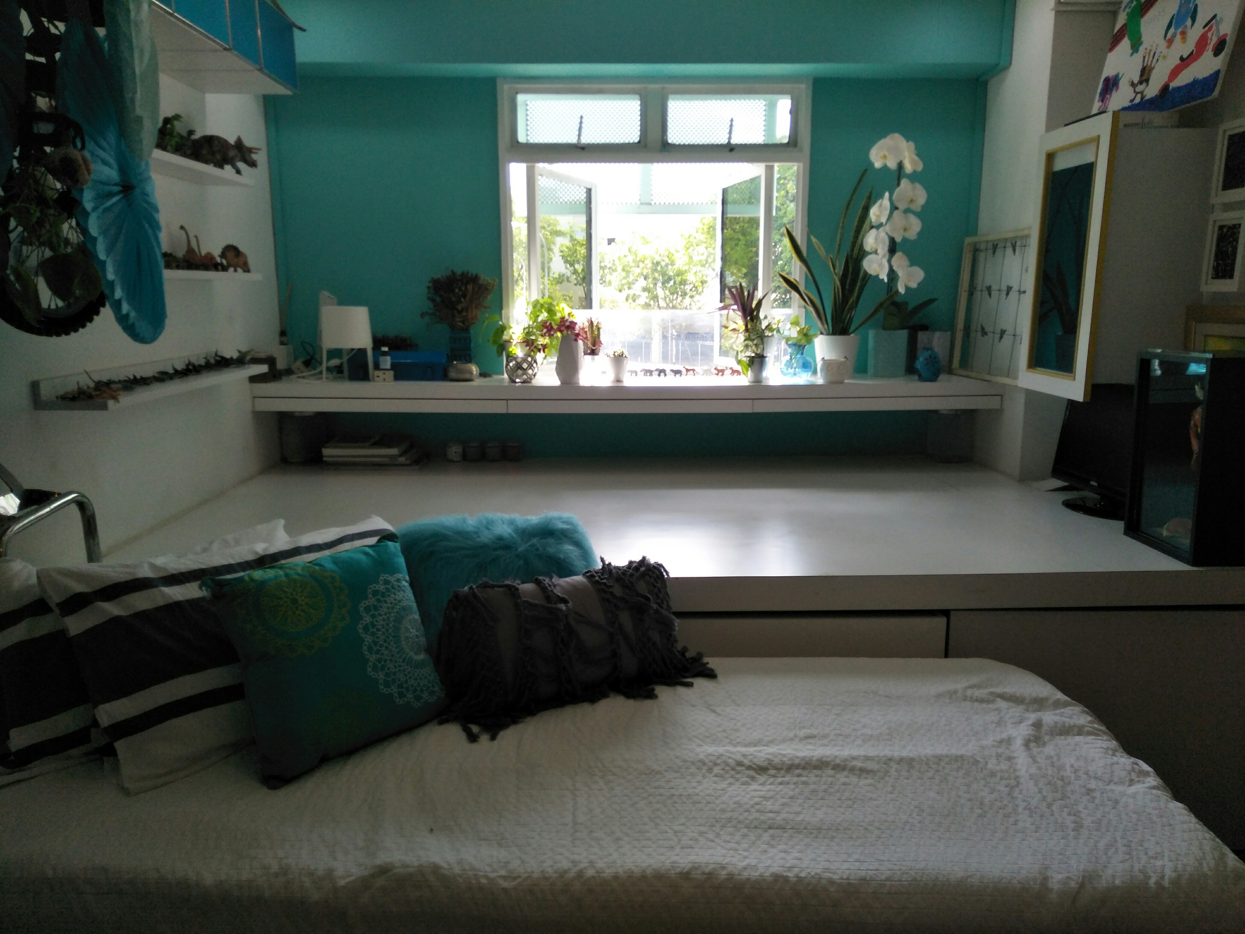 Newly Re-furbished Single Female Room
