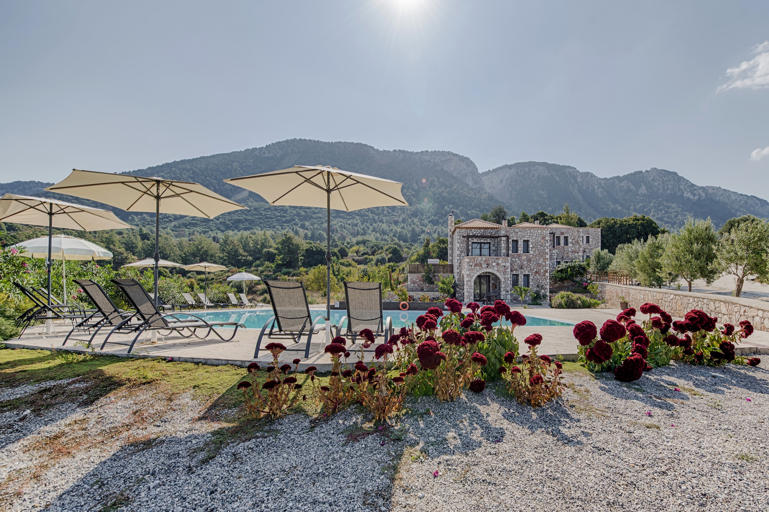 Mandarine Villa Salakos Apartments For Rent In Salakos Egeo