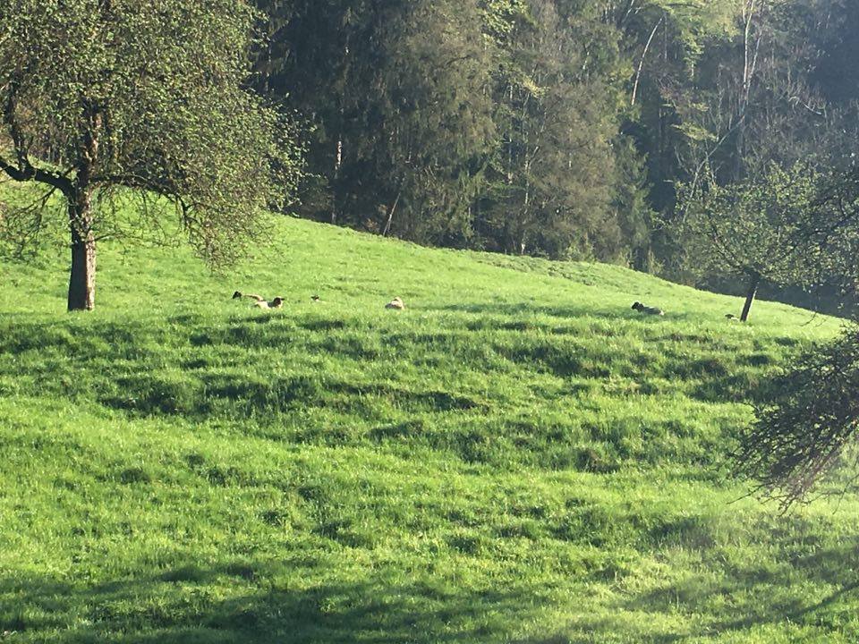 Relaxing In Nature