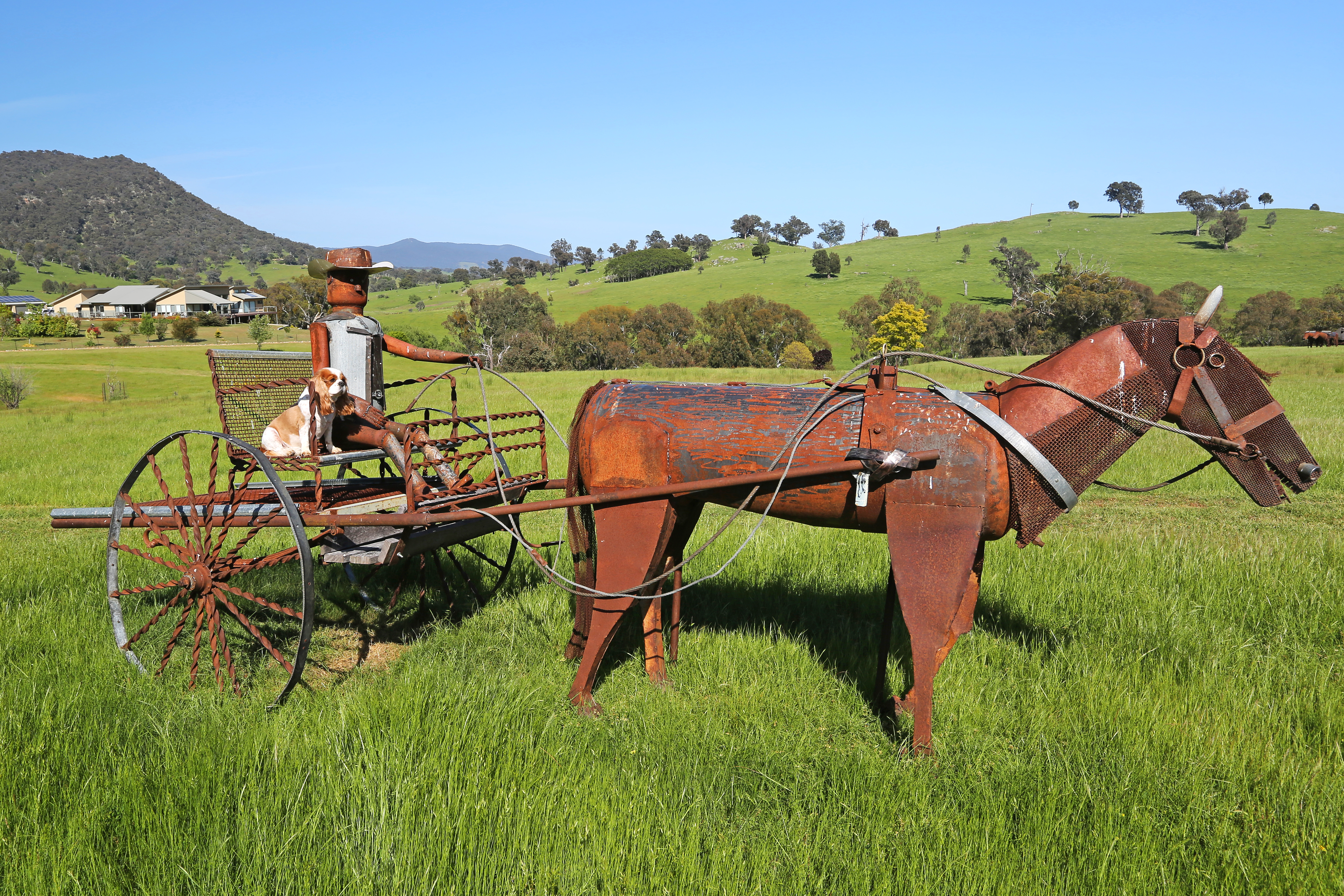 Elm Cottage Tumut - River Gum Pet Friendly Cottage