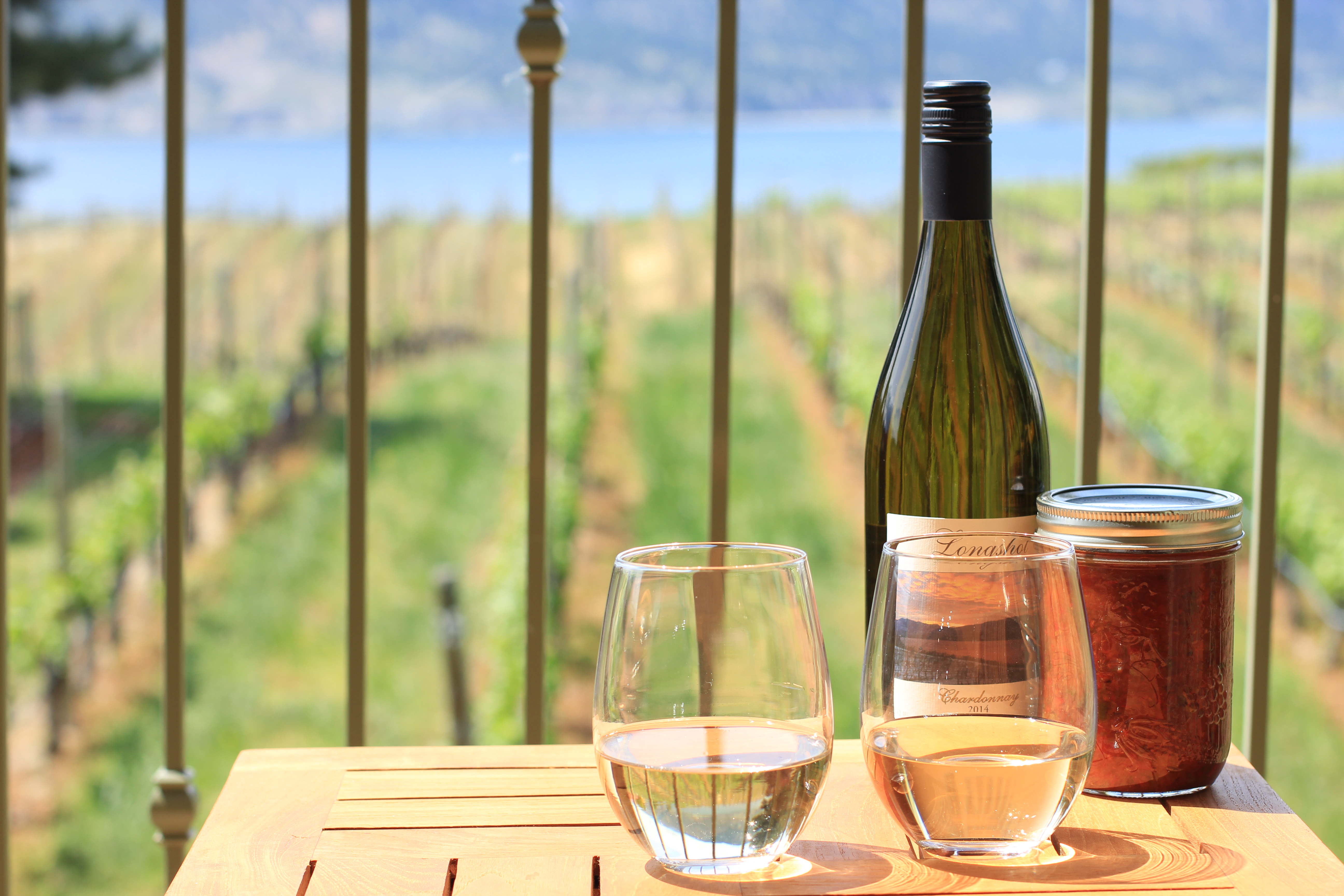 Lake Views & New Vineyard Planted in 2022!