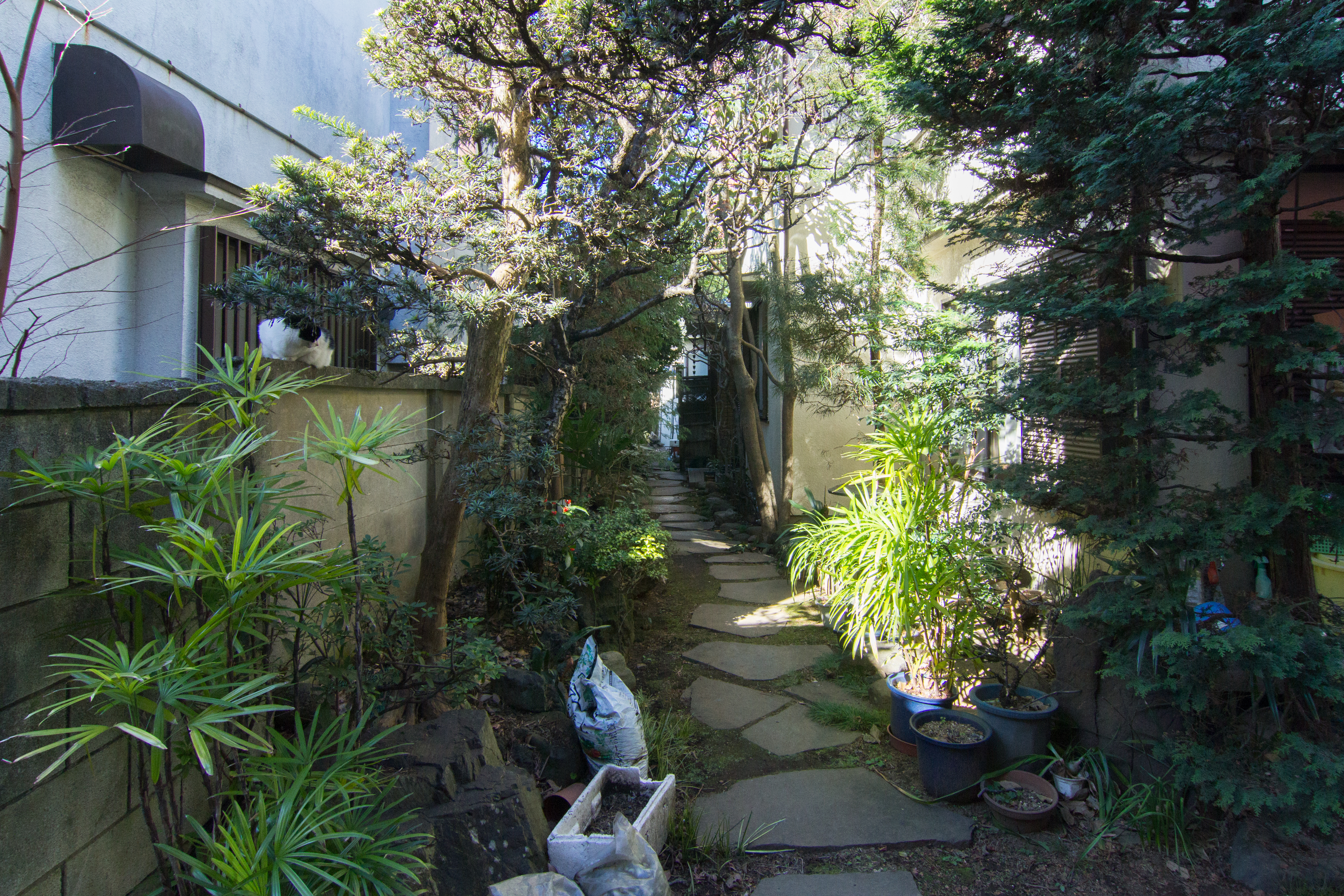 3番伝統日本家屋都内には珍しい东京日本free Wifi 2 Villas For Rent In Nerima Ku Tōkyō To Japan