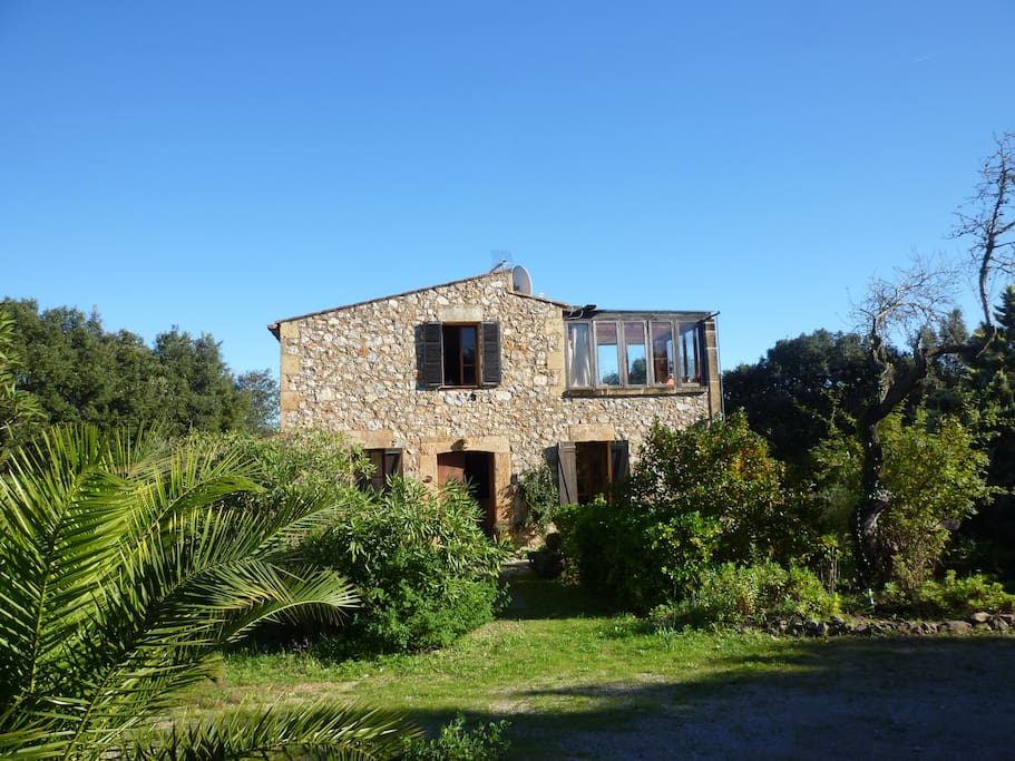 Ecological country house with natural pool