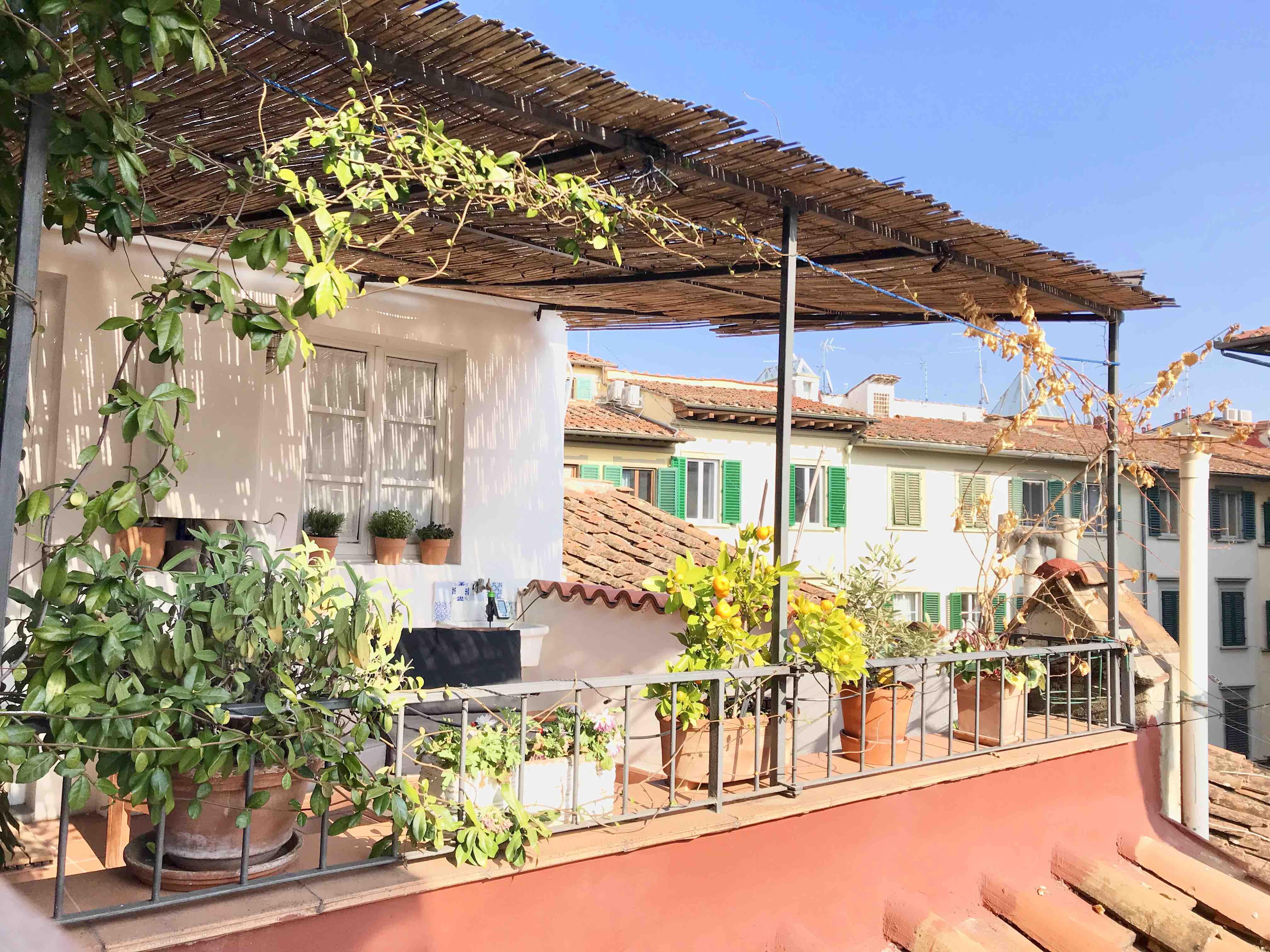 Cosy flat w/terrace in S. Ambrogio Apartments for Rent in Florence