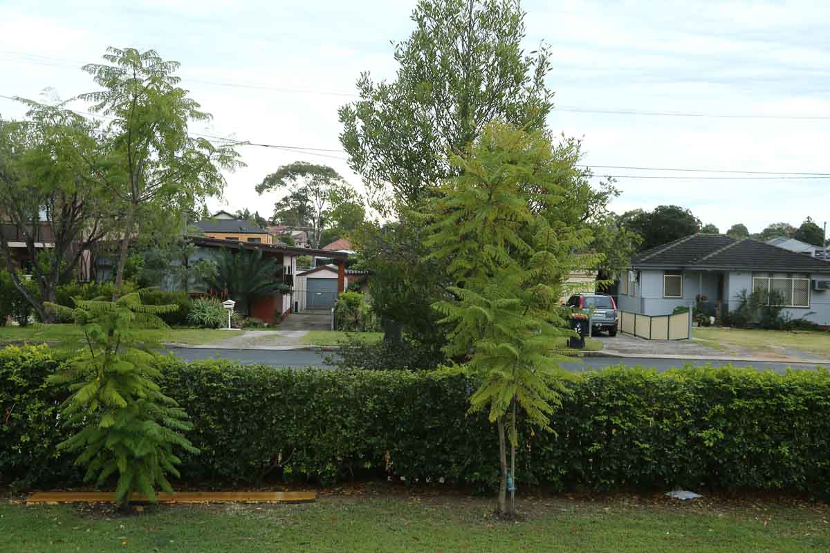 peaceful room 1 in Bankstown, Sydney