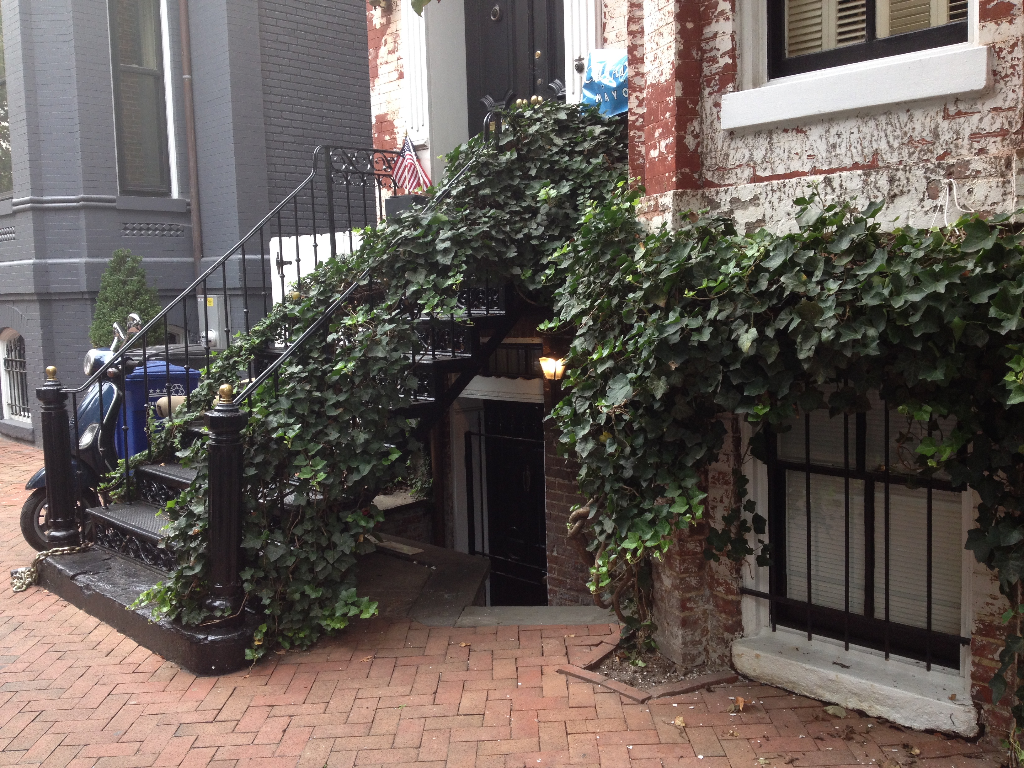 Georgetown English Basement Apt. in Georgetown, Burleith/Hillandale, Washington Dc