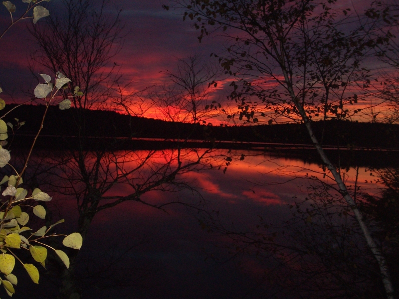 Lakeside cottage in Maine woods Cottages for Rent in Farmington