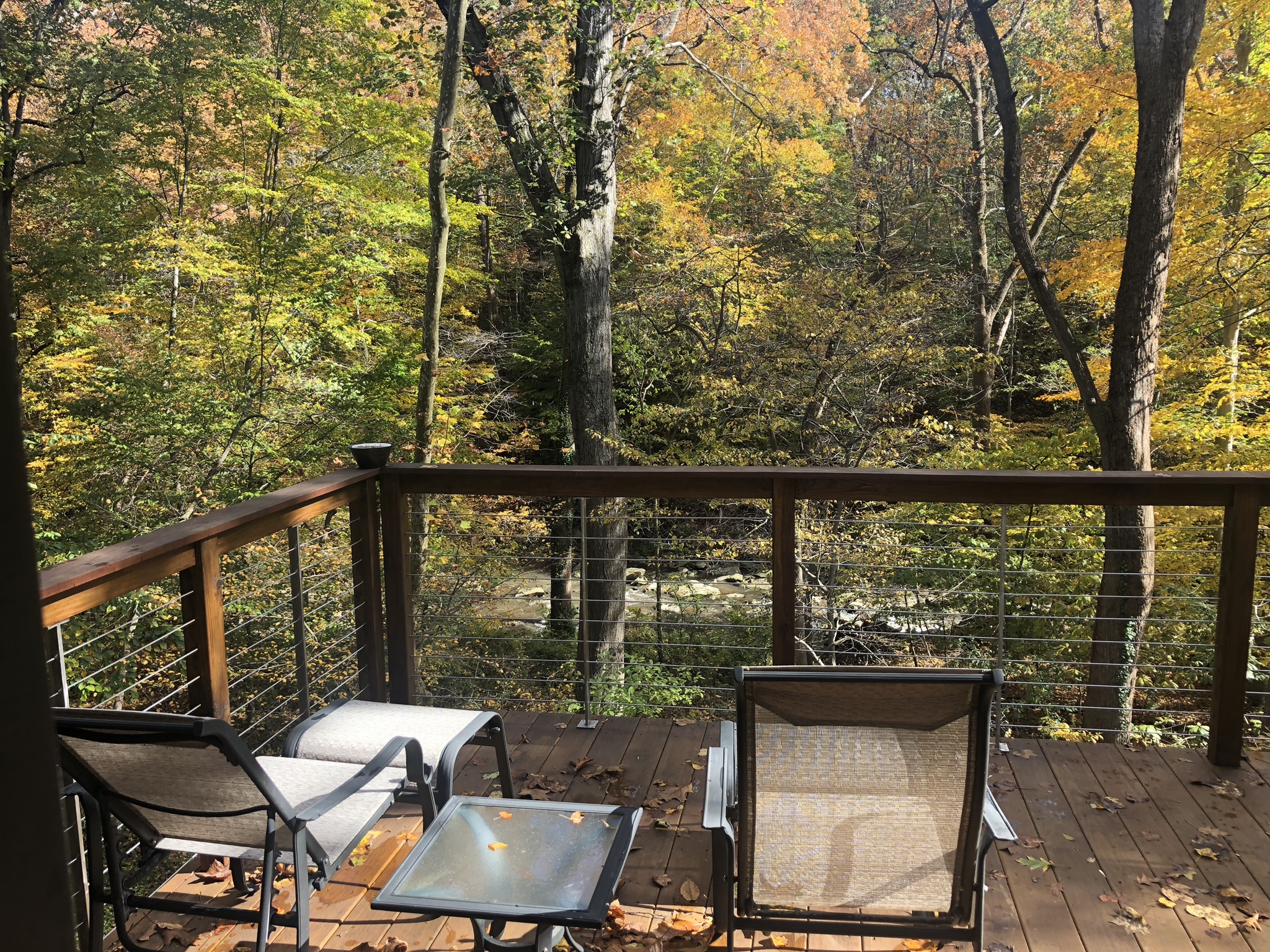 DC/Bethesda Urban Oasis, Private, Entire Home