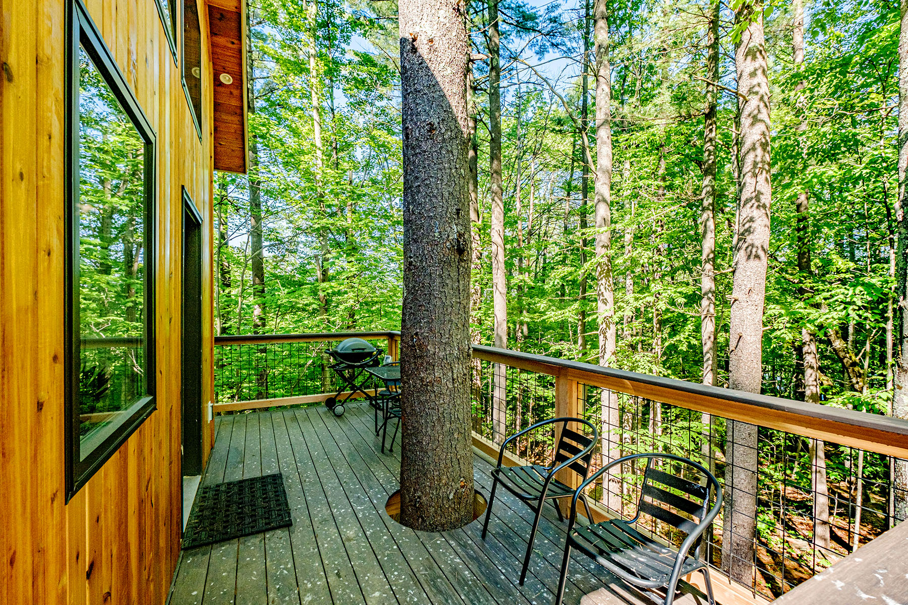 The Canopy Treehouse, a Luxury Carbon Free Retreat Treehouses for