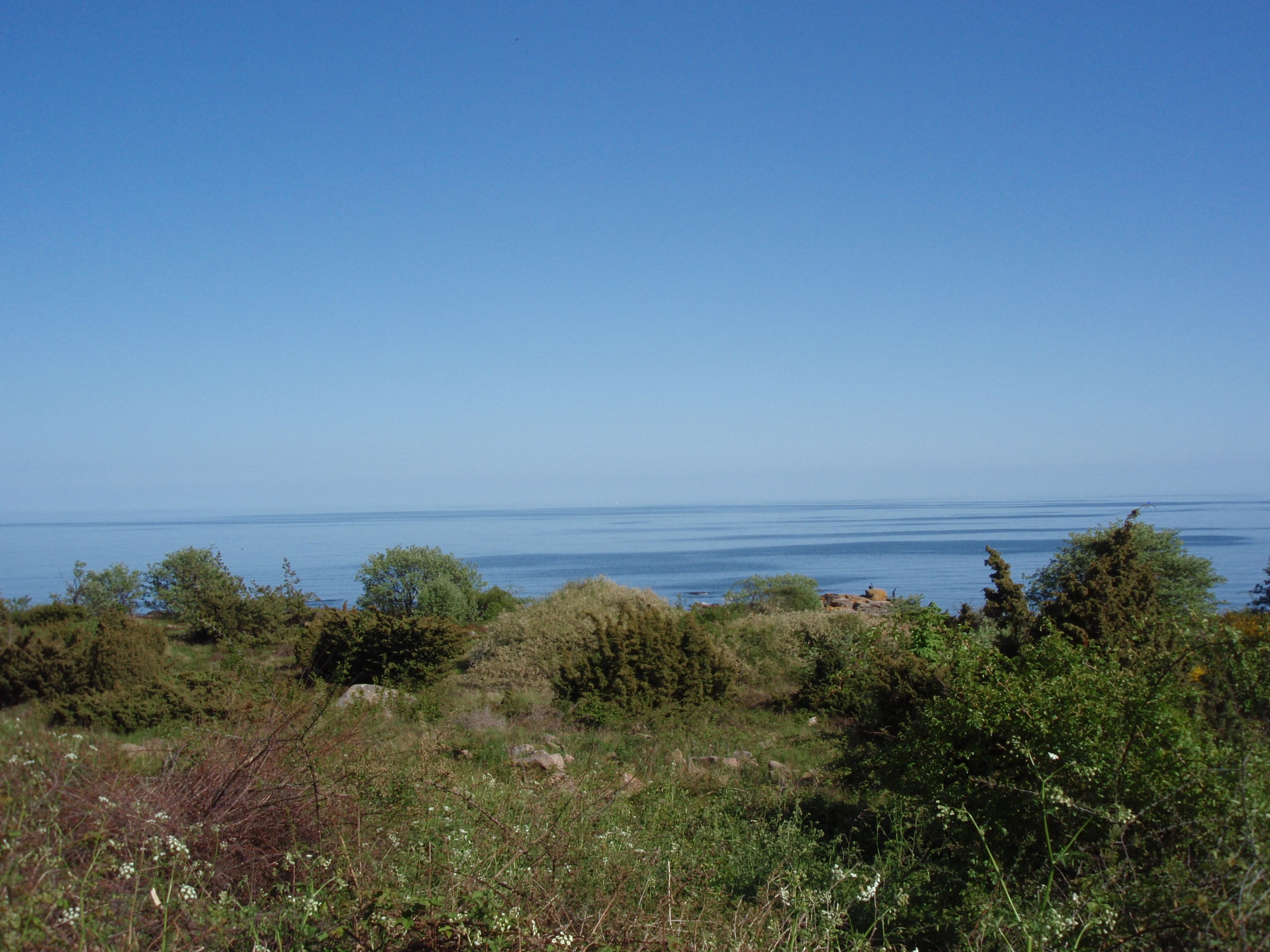 Relax with a view 8-)