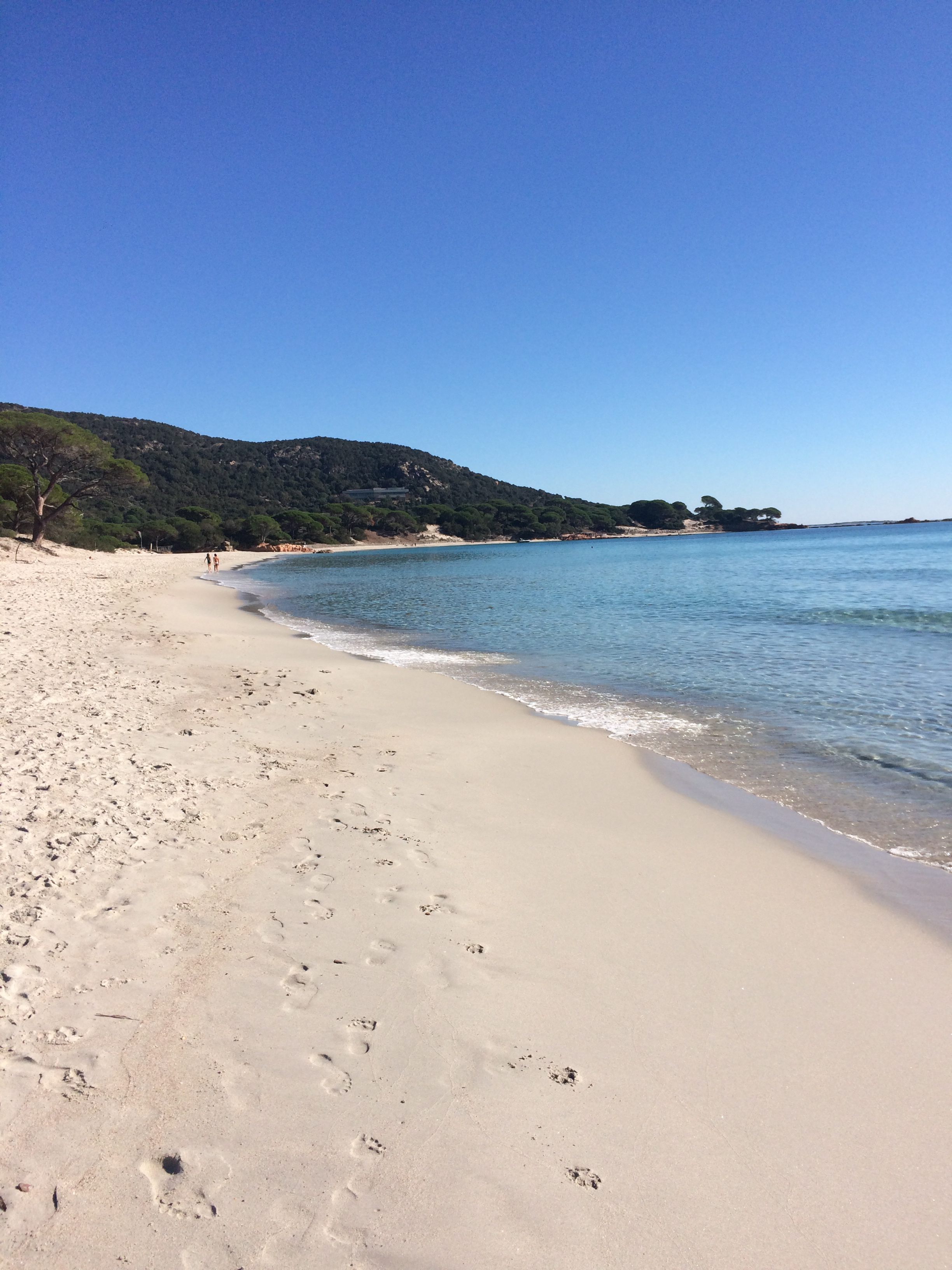 Download Condo plage myrte location face a locean 3 chambres Free